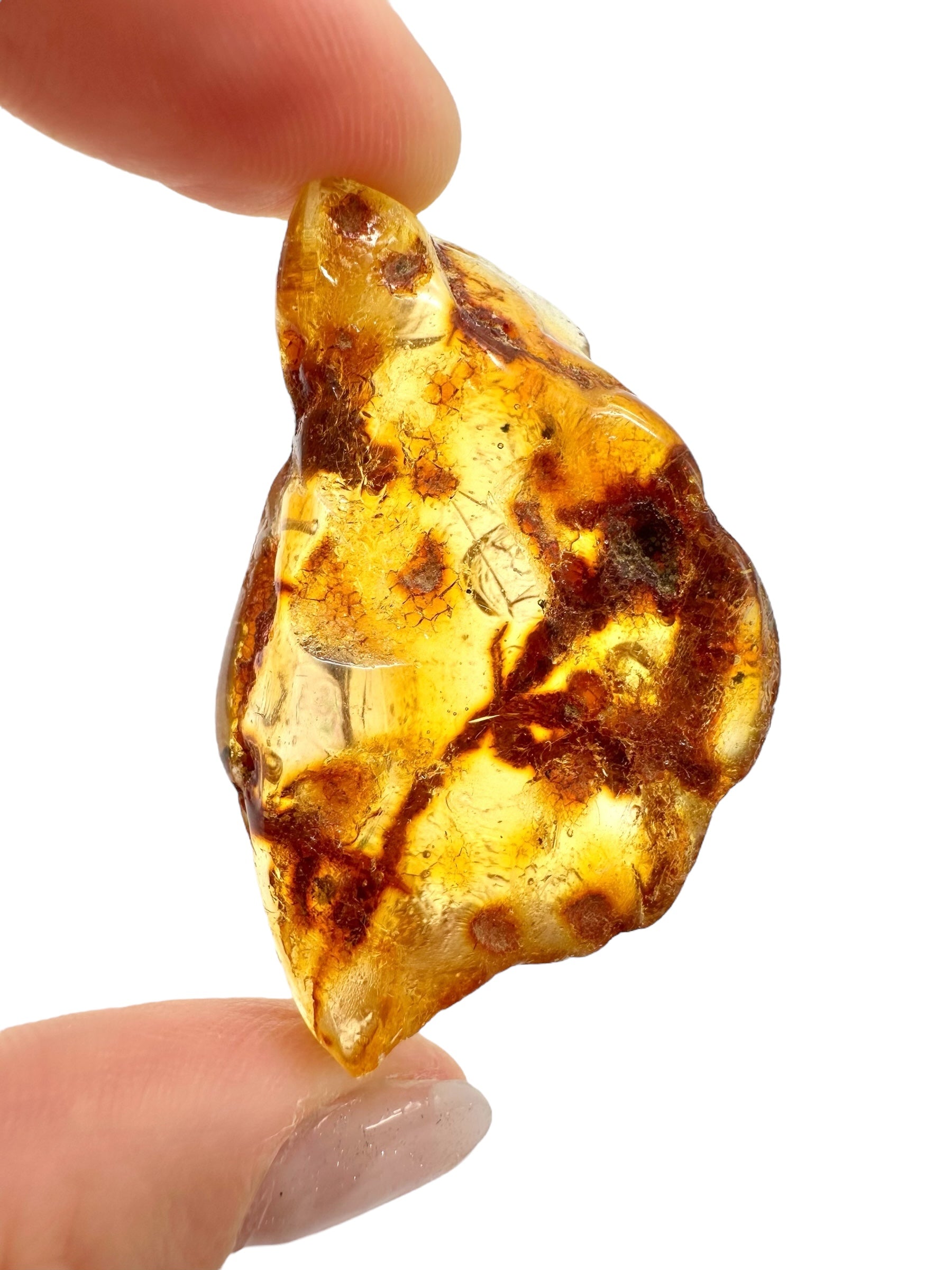 Insects in young amber (copal) 9,1g – Colombia - IK24