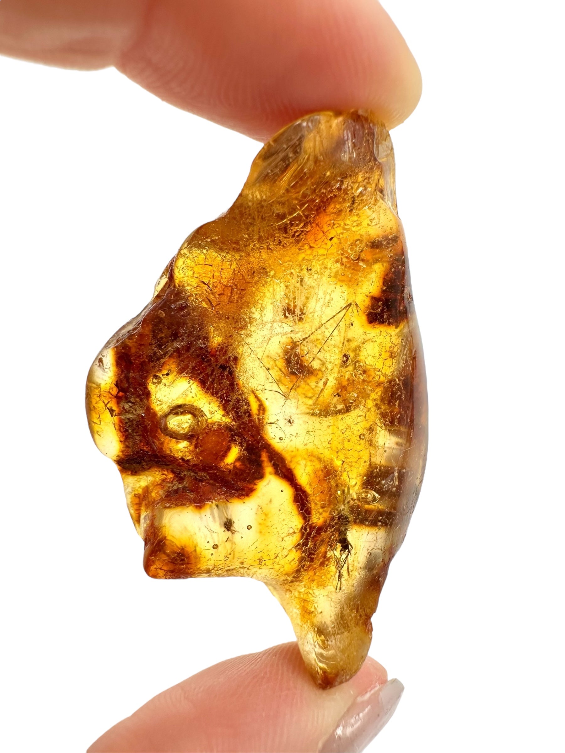 Insects in young amber (copal) 9,1g – Colombia