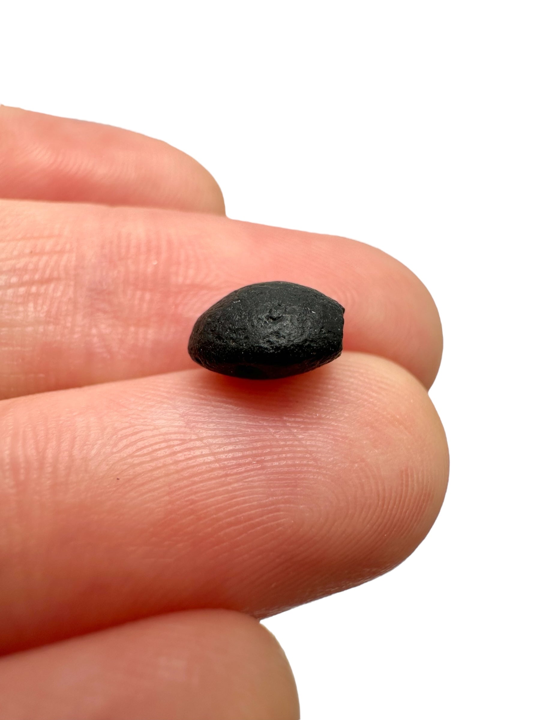 Australite "button" 0,4g – Kalgoorlie, Western Australia - AU081