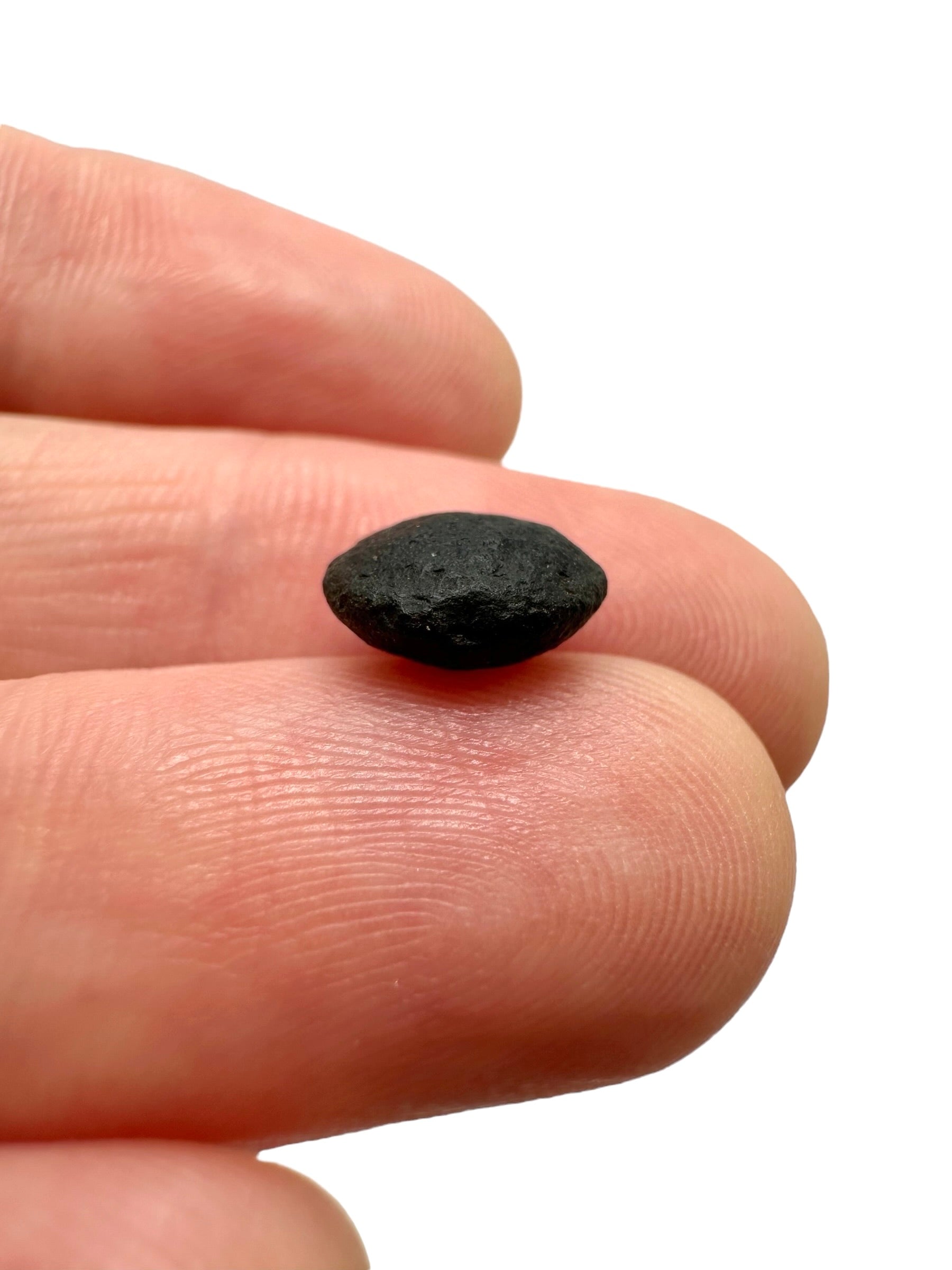 Australite "button" 0,3g – Kalgoorlie, Western Australia - AU091