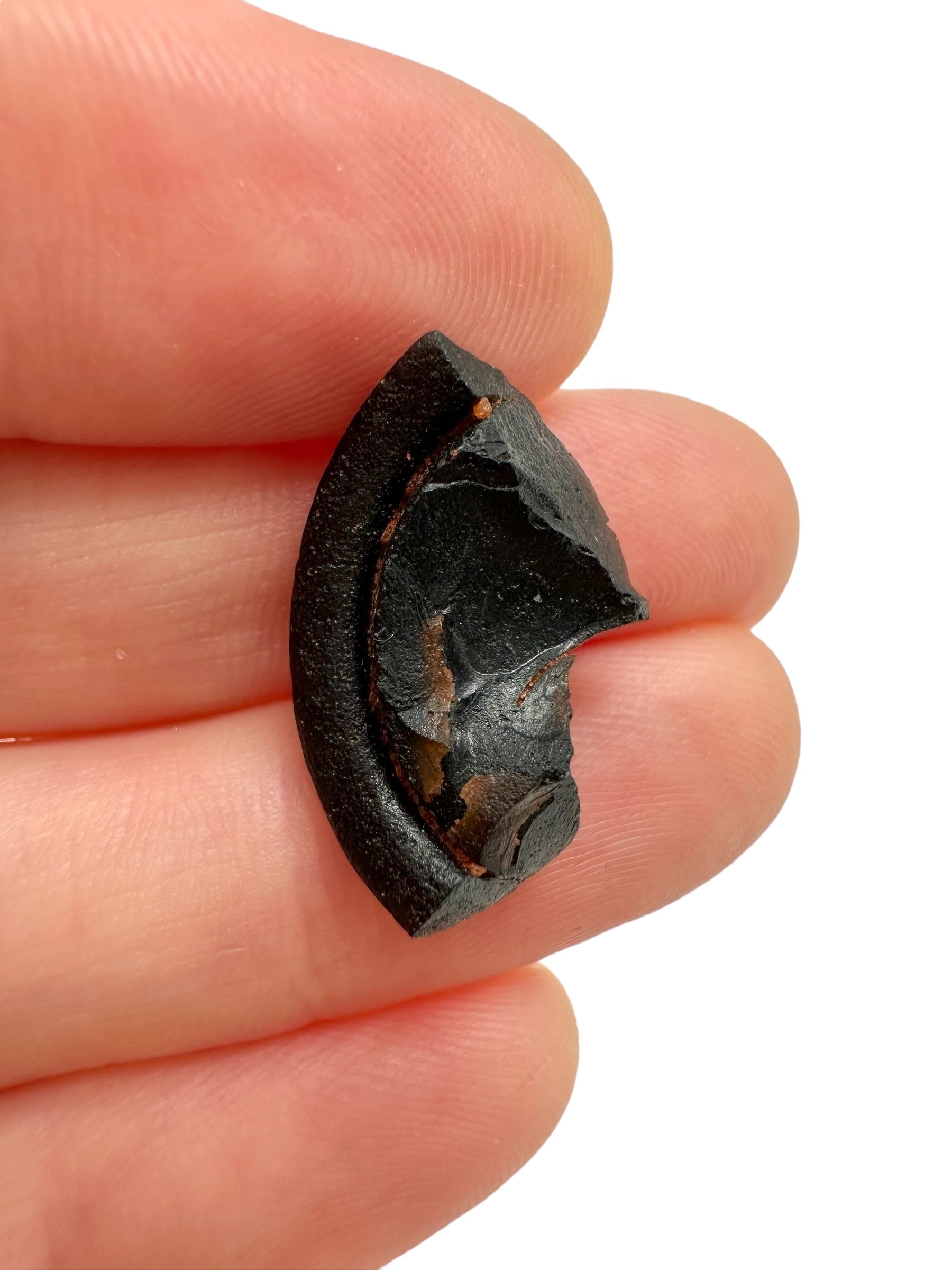 Australite "button" 1,5g – Kalgoorlie, Western Australia