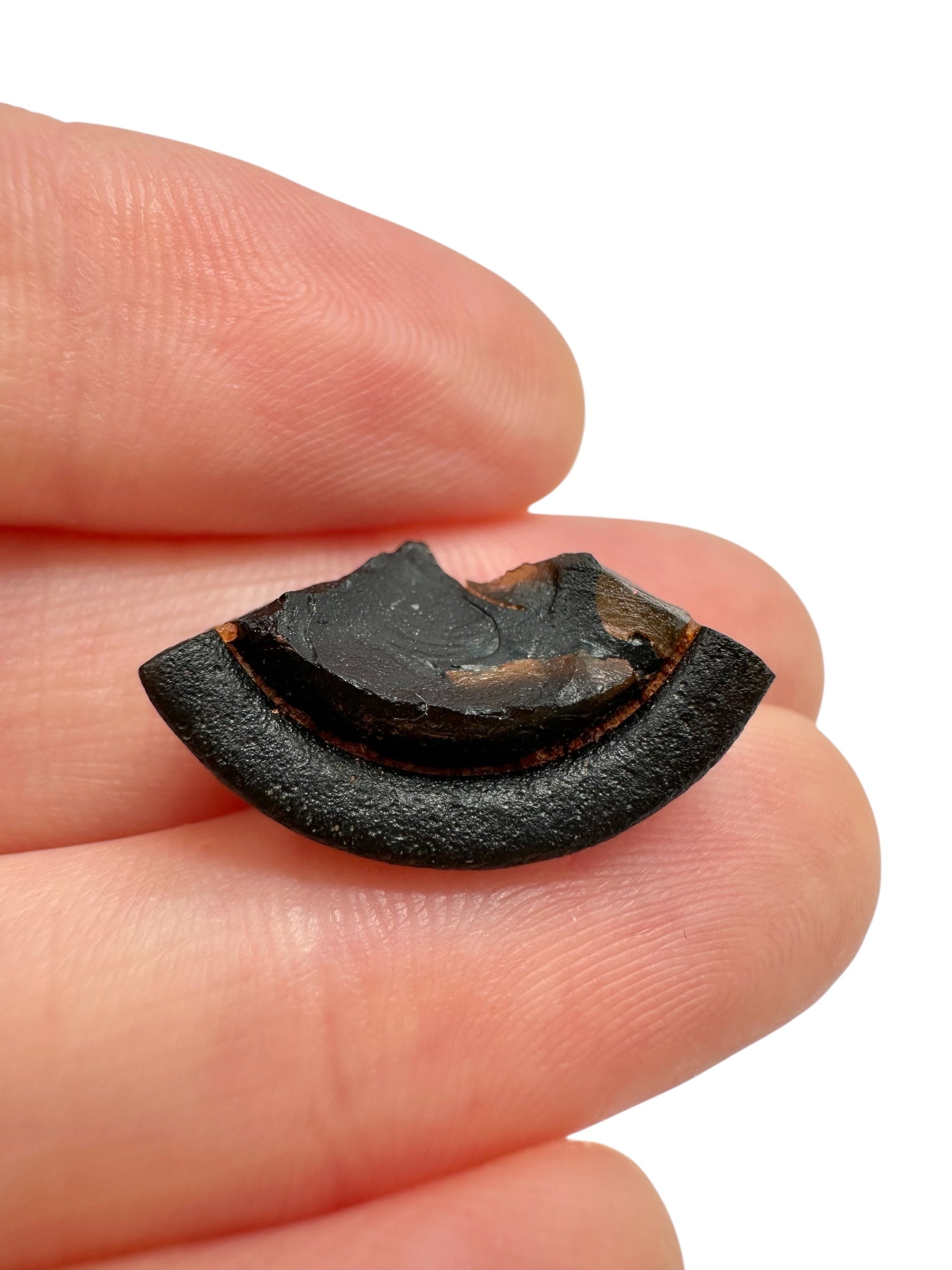 Australite "button" 1,5g – Kalgoorlie, Western Australia - AU092