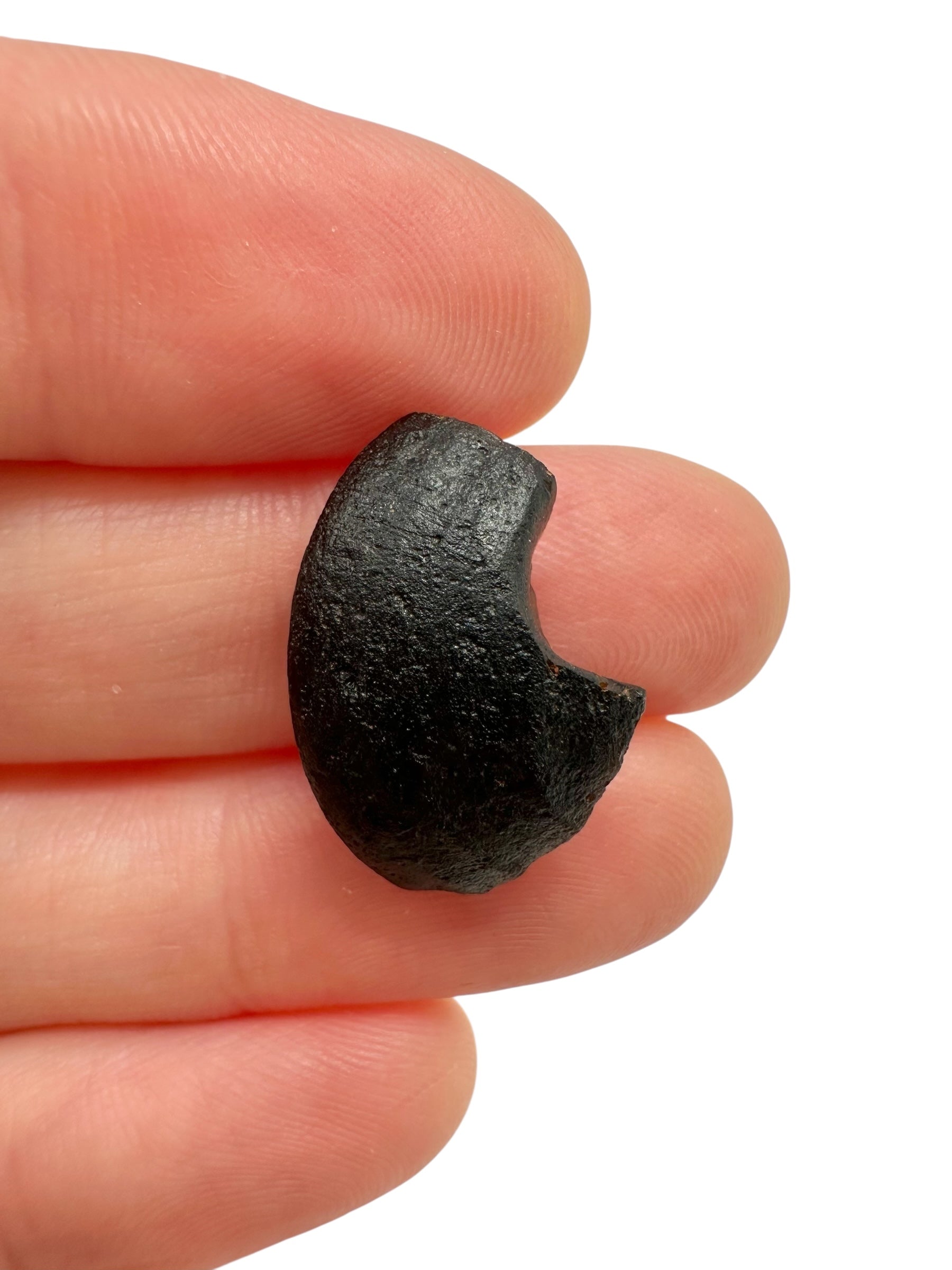 Australite "button" 1,5g – Kalgoorlie, Western Australia - AU092