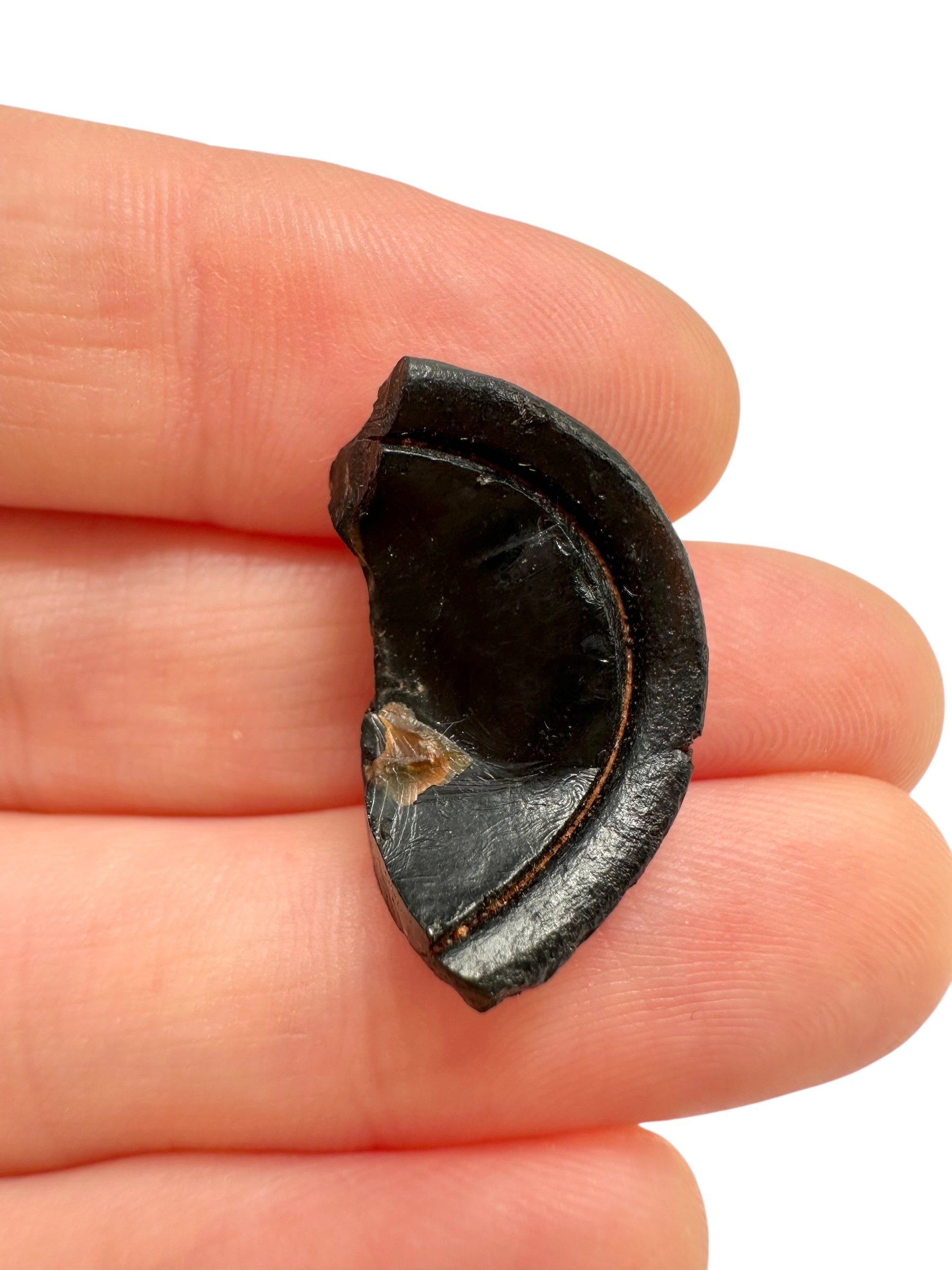 Australite "button" 2,1g – Kalgoorlie, Western Australia - AU094