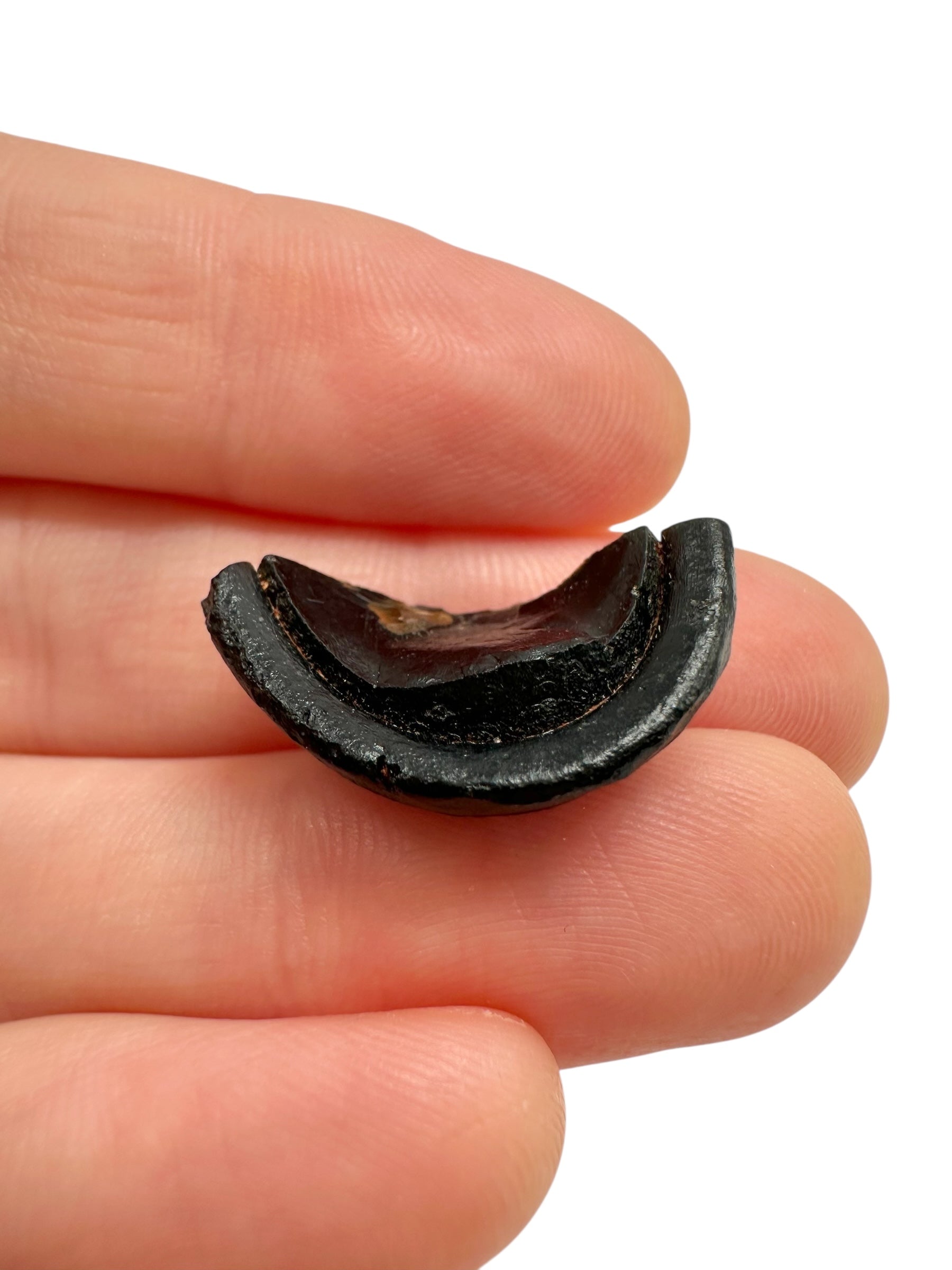 Australite "button" 2,1g – Kalgoorlie, Western Australia - AU094