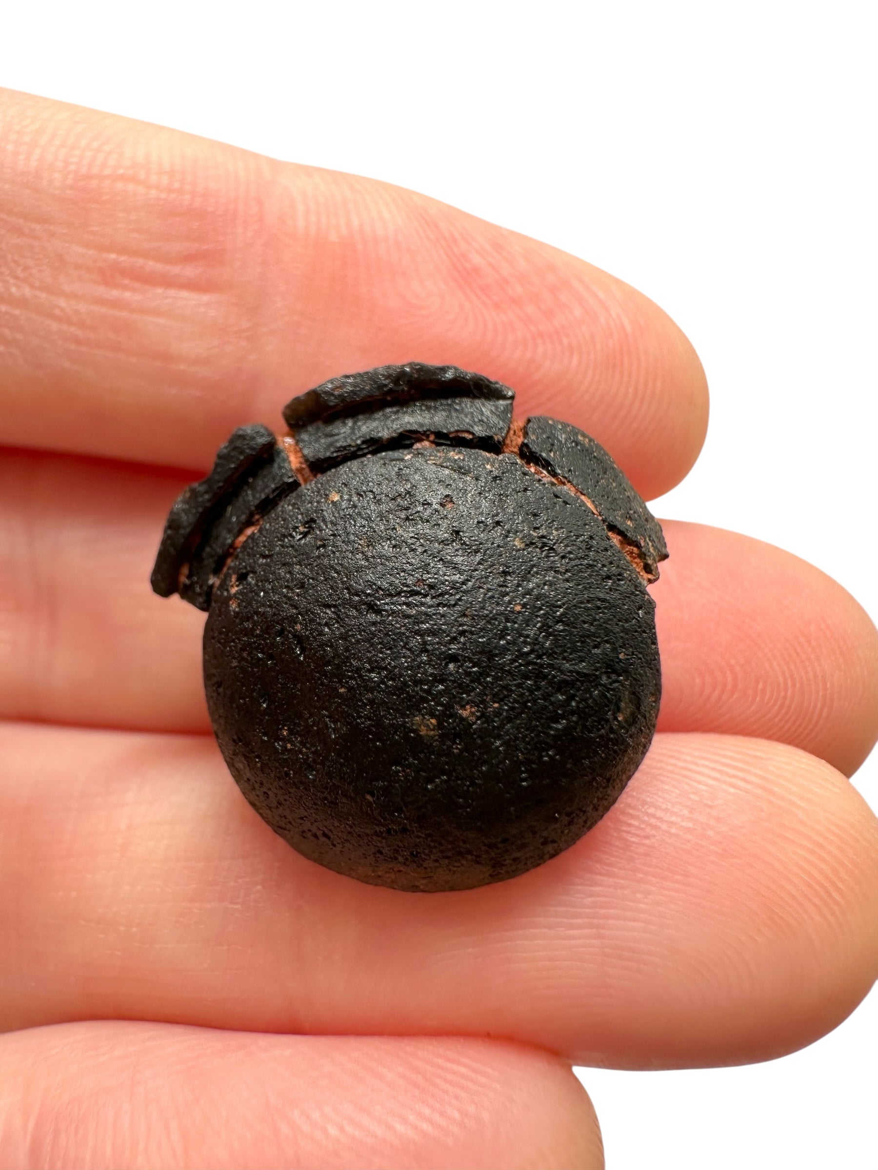 Australite "button" 5g – Kalgoorlie, Western Australia - AU096