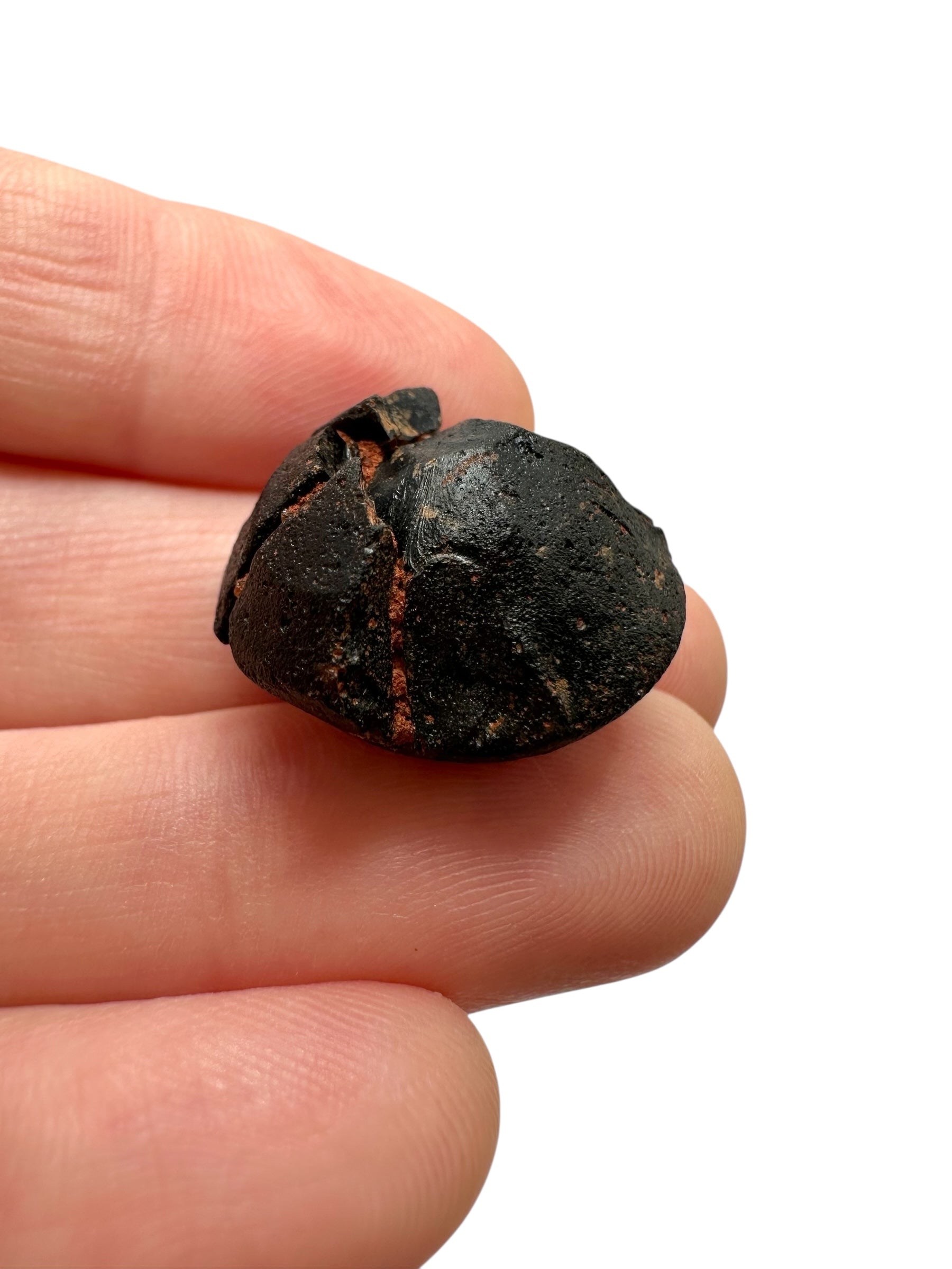 Australite "button" 5g – Kalgoorlie, Western Australia - AU096