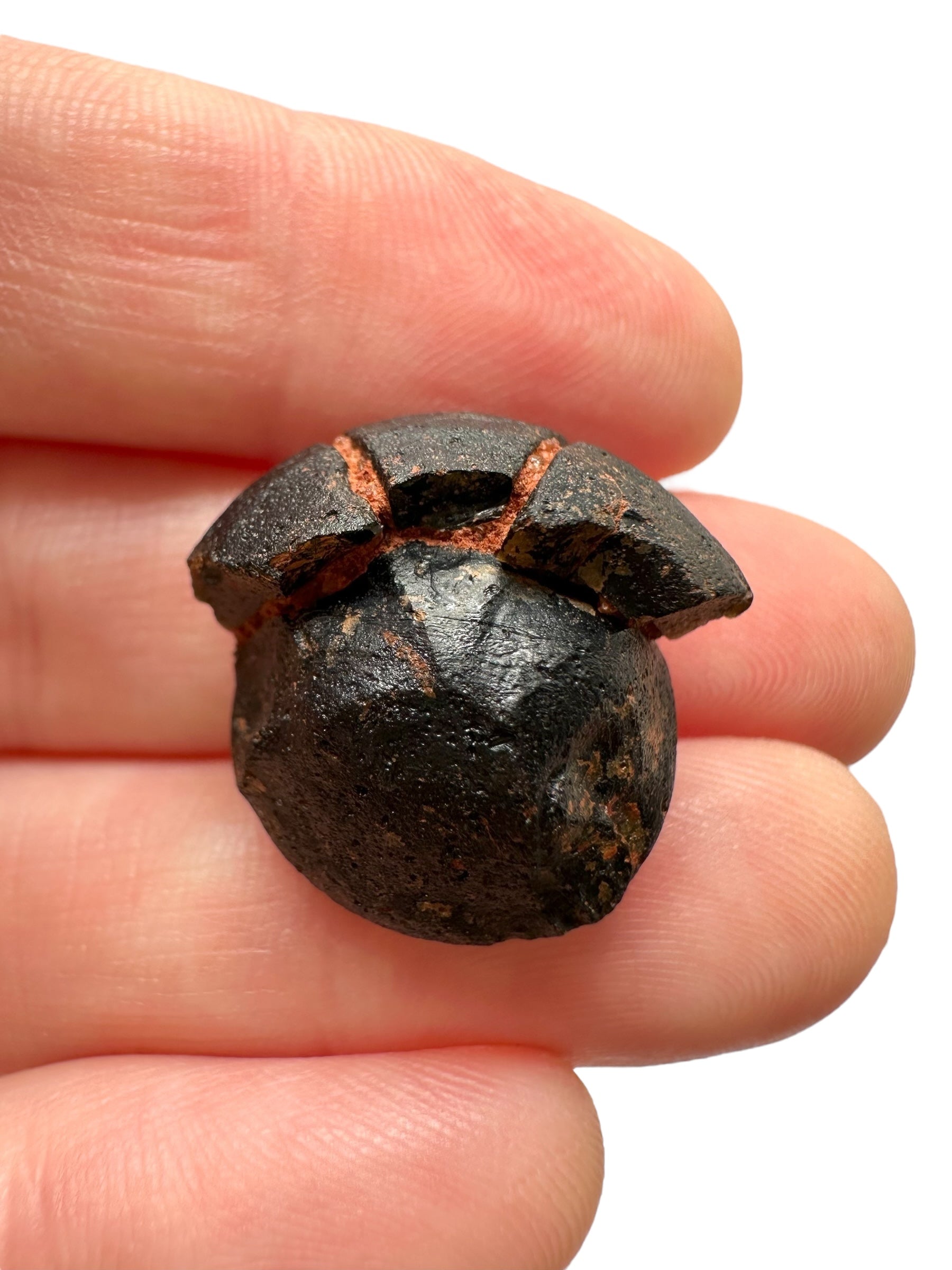 Australite "button" 5g – Kalgoorlie, Western Australia