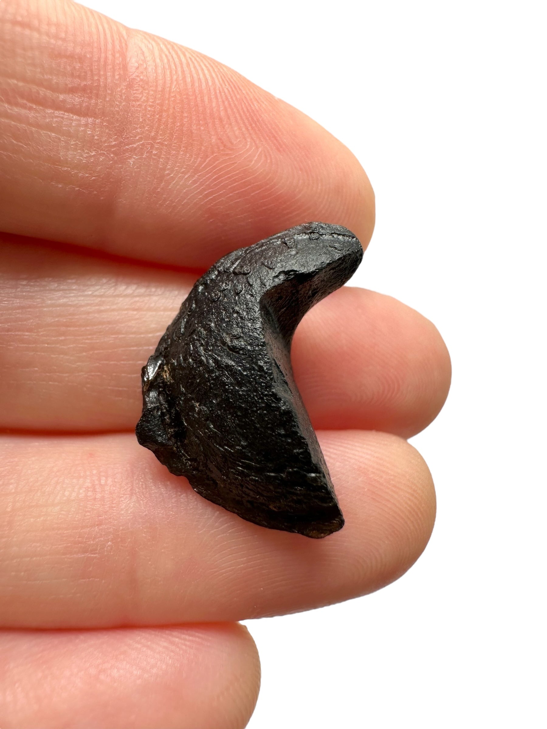 Australite "button" 2,2g – Kalgoorlie, Western Australia - AU098