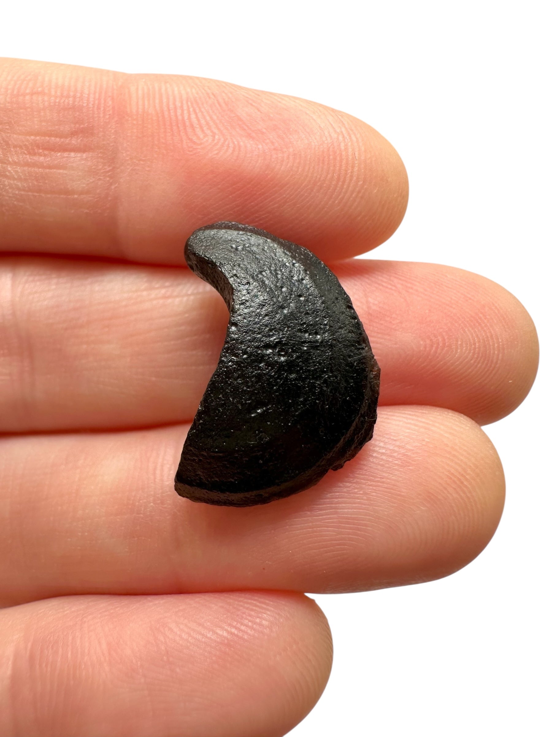 Australite "button" 2,2g – Kalgoorlie, Western Australia