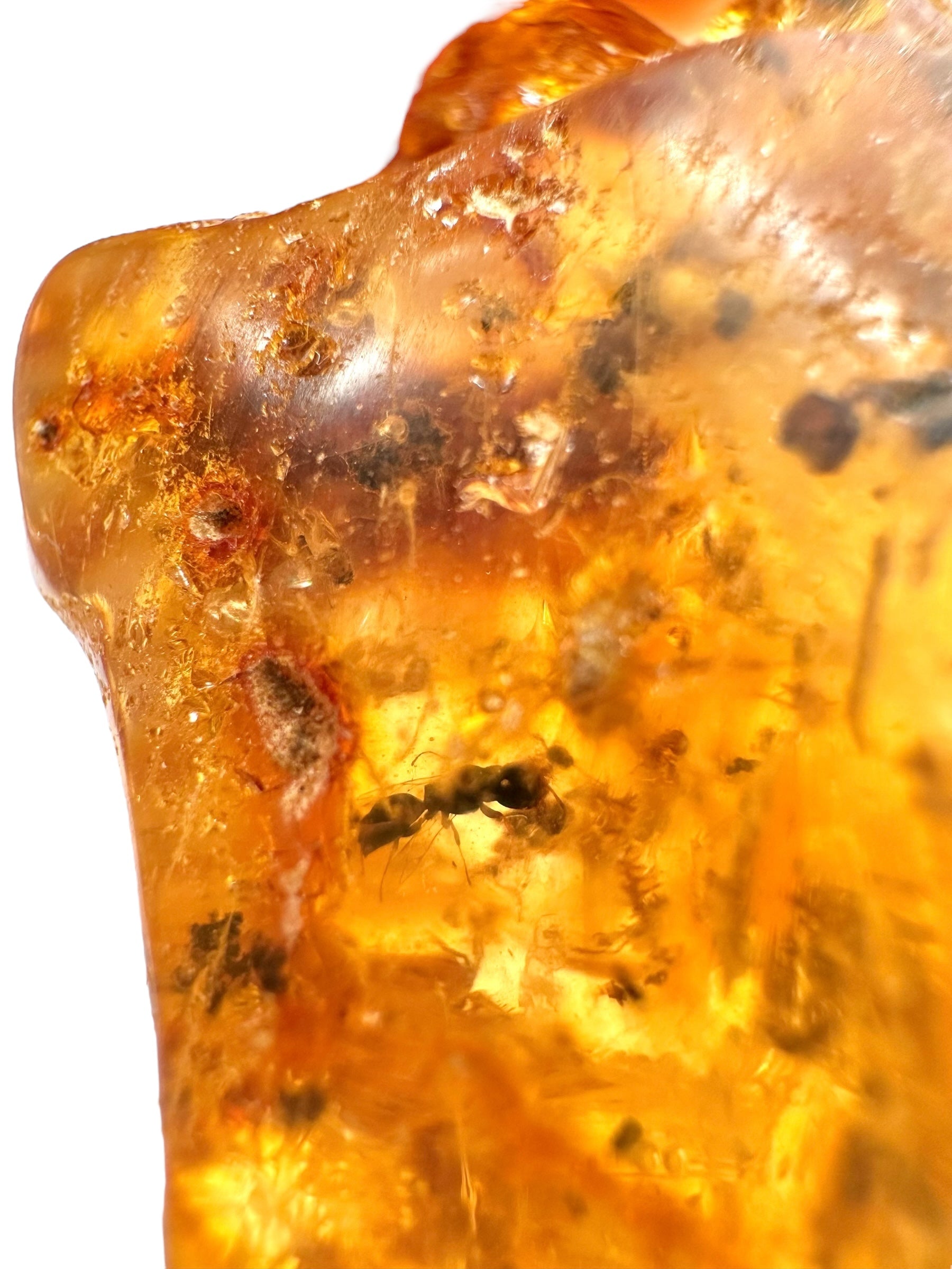 Insects in young amber (copal) 16,5g – Colombia - IK26