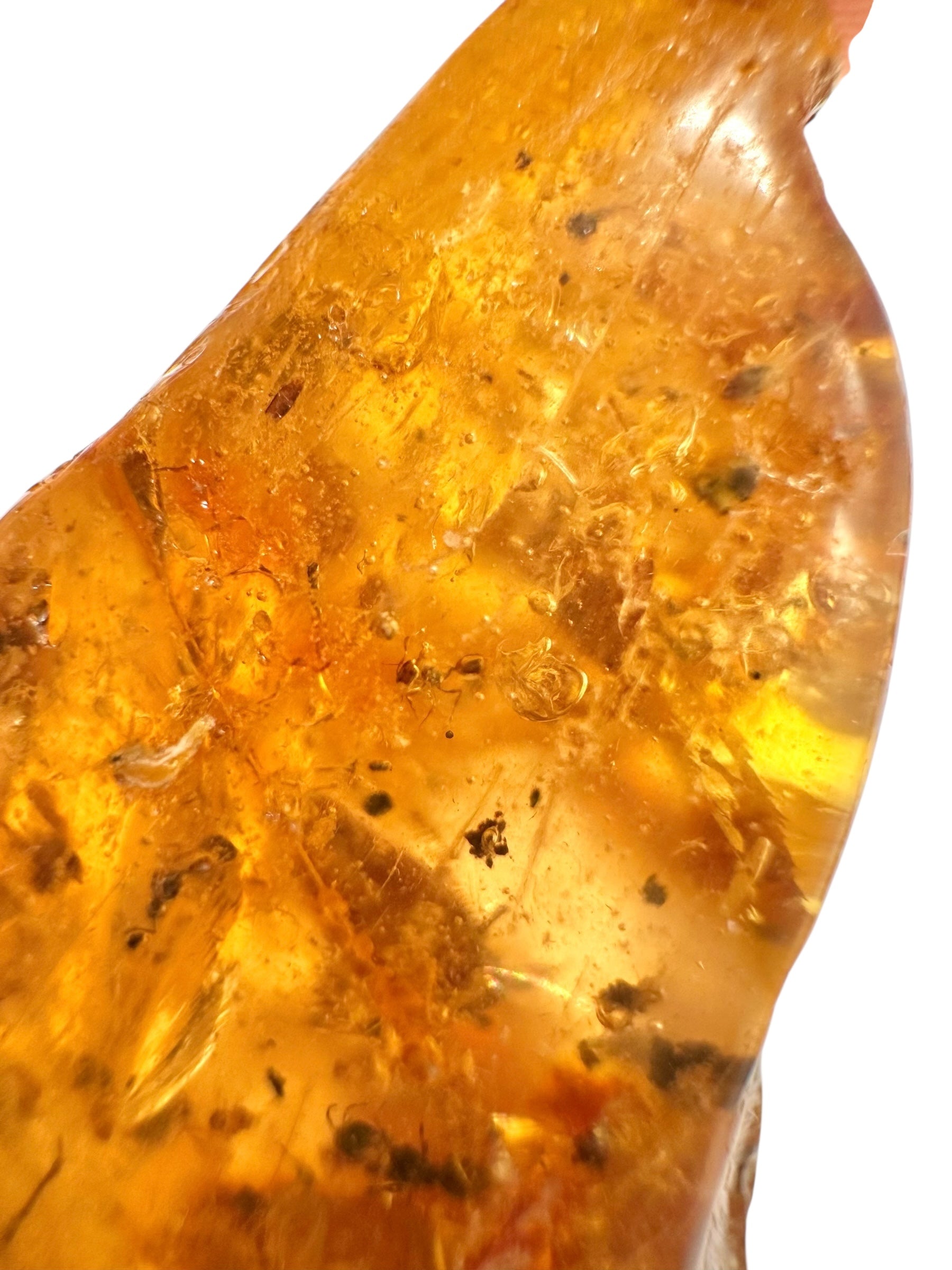 Insects in young amber (copal) 16,5g – Colombia - IK26