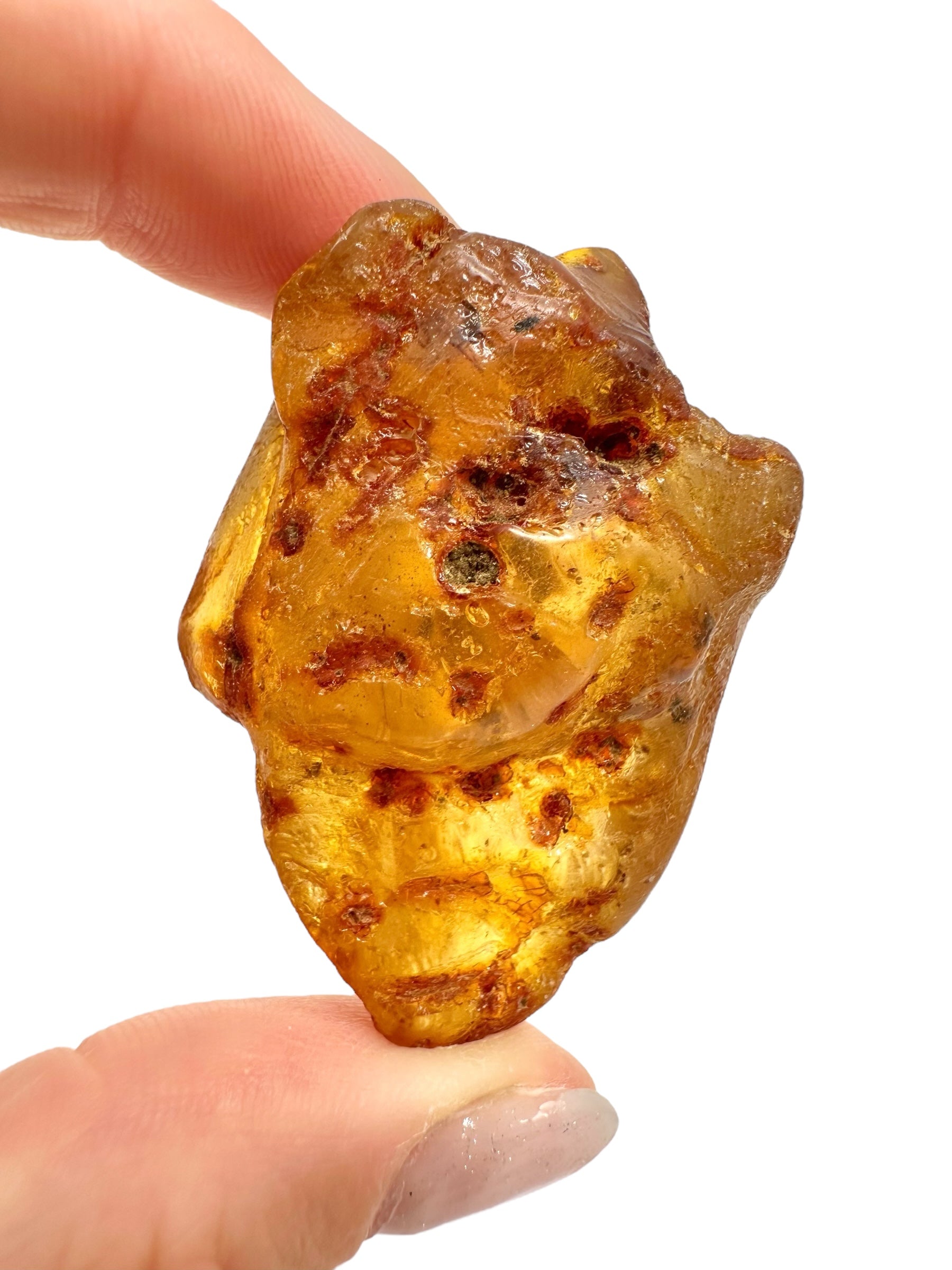 Insects in young amber (copal) 16,5g – Colombia - IK26