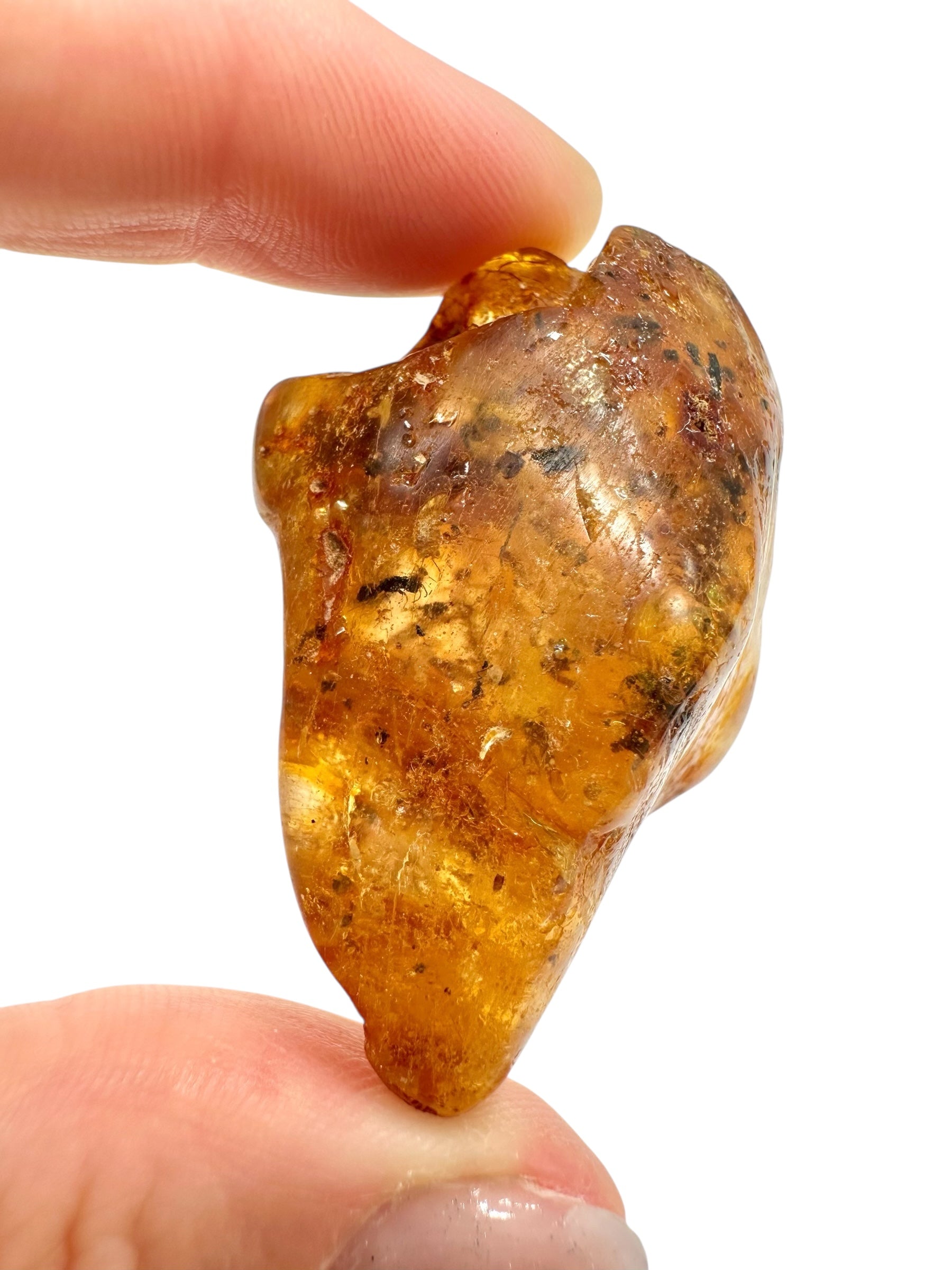 Insects in young amber (copal) 16,5g – Colombia