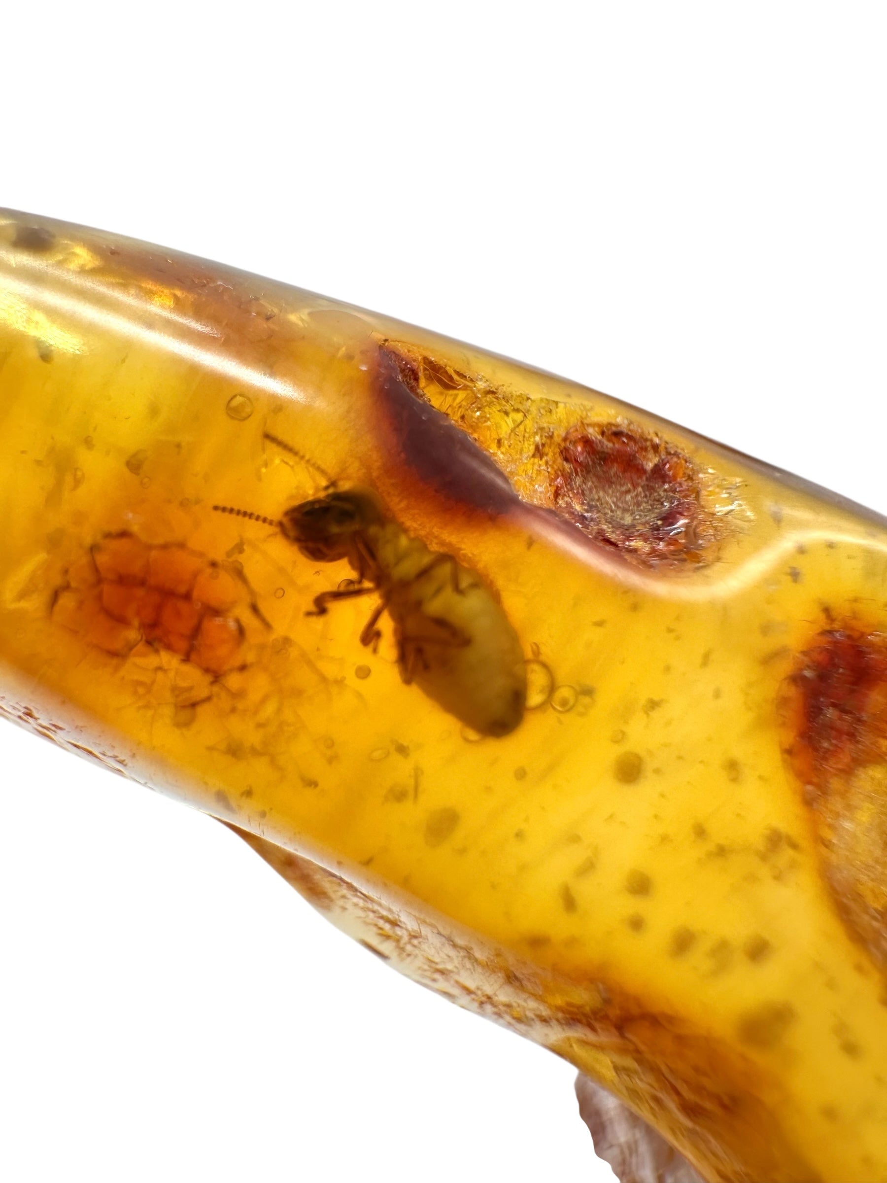 Insects in young amber (copal) 20,4g – Colombia - IK27