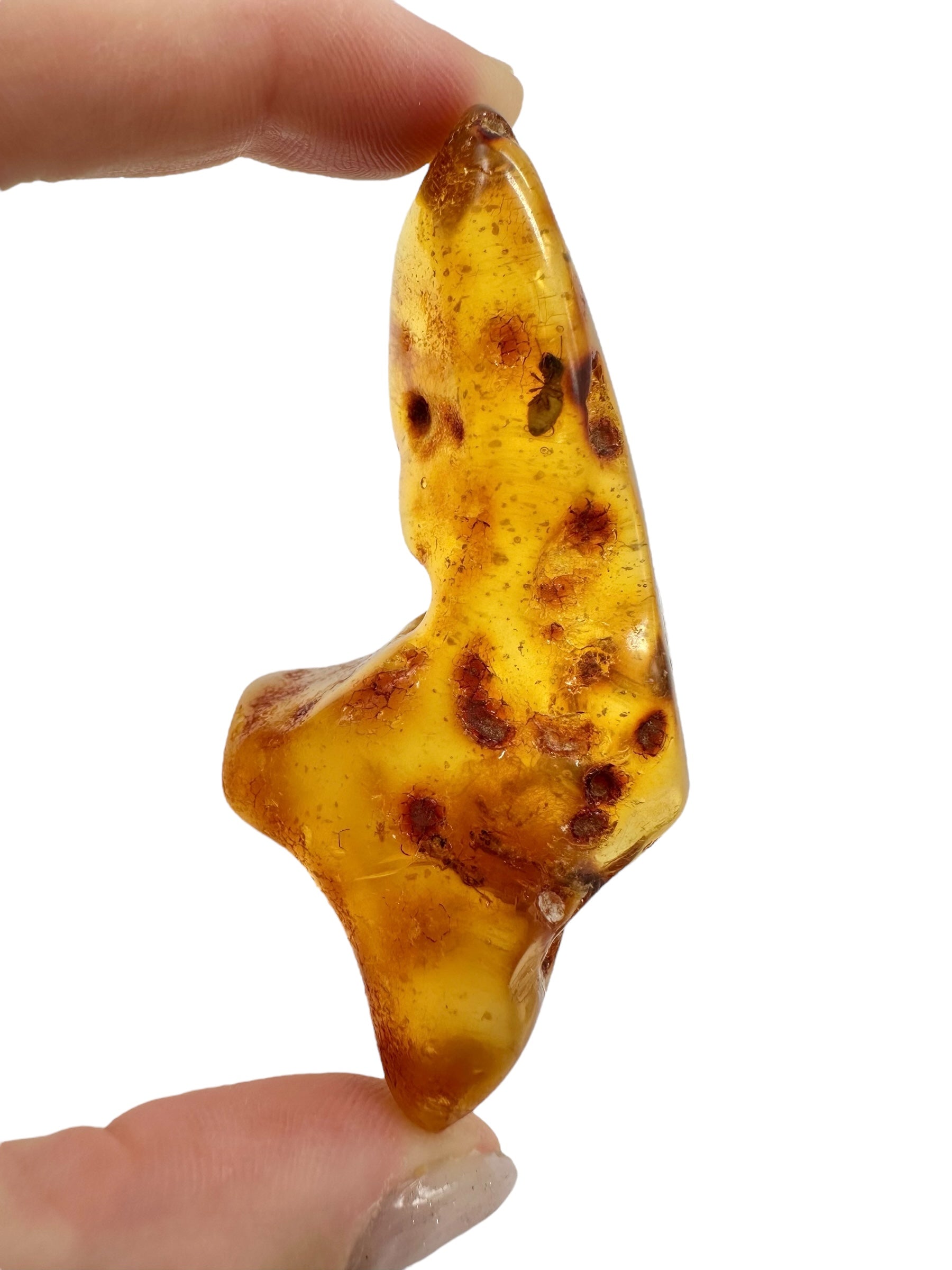Insects in young amber (copal) 20,4g – Colombia