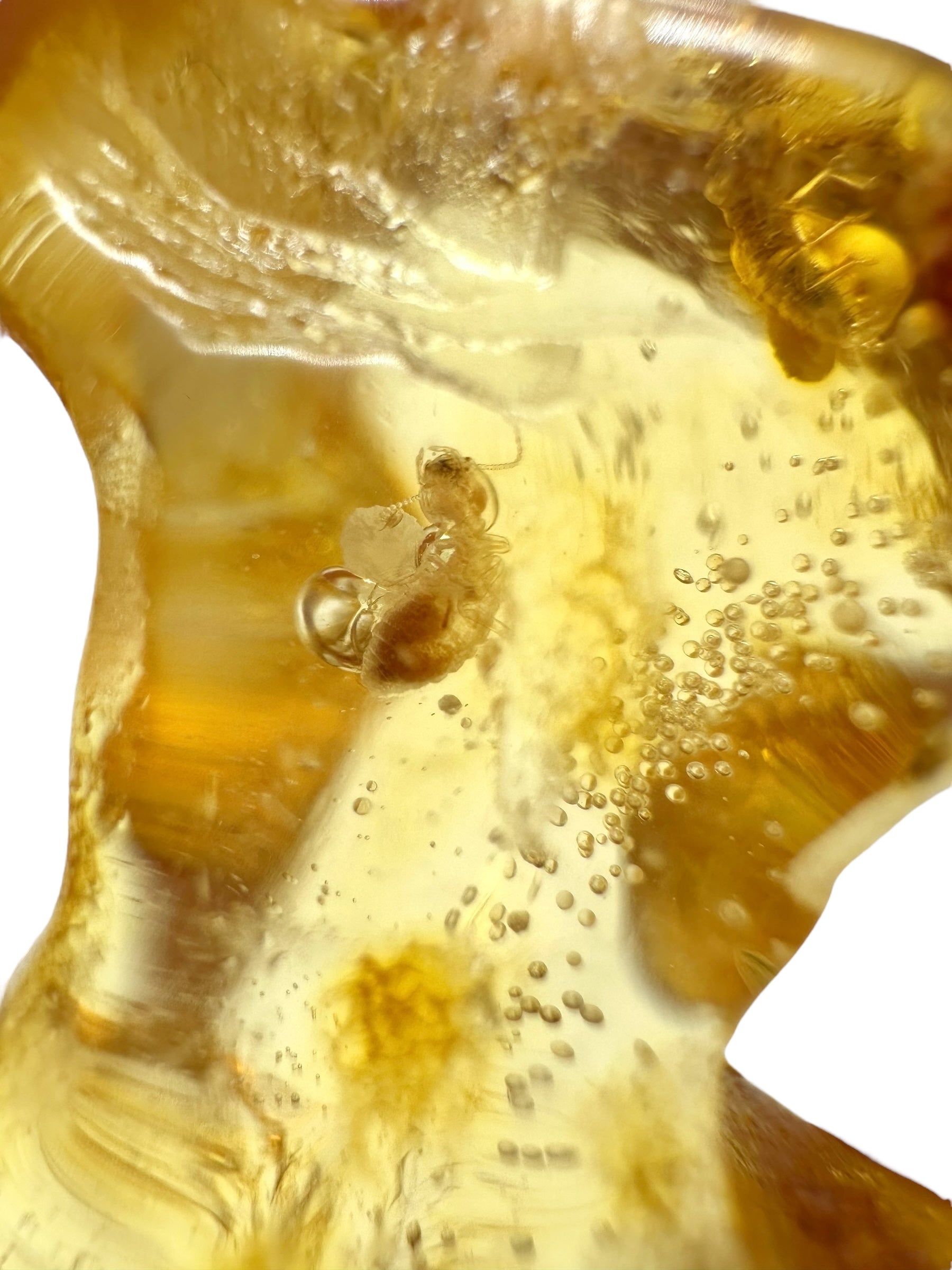 Insects in young amber (copal) 11g – Colombia