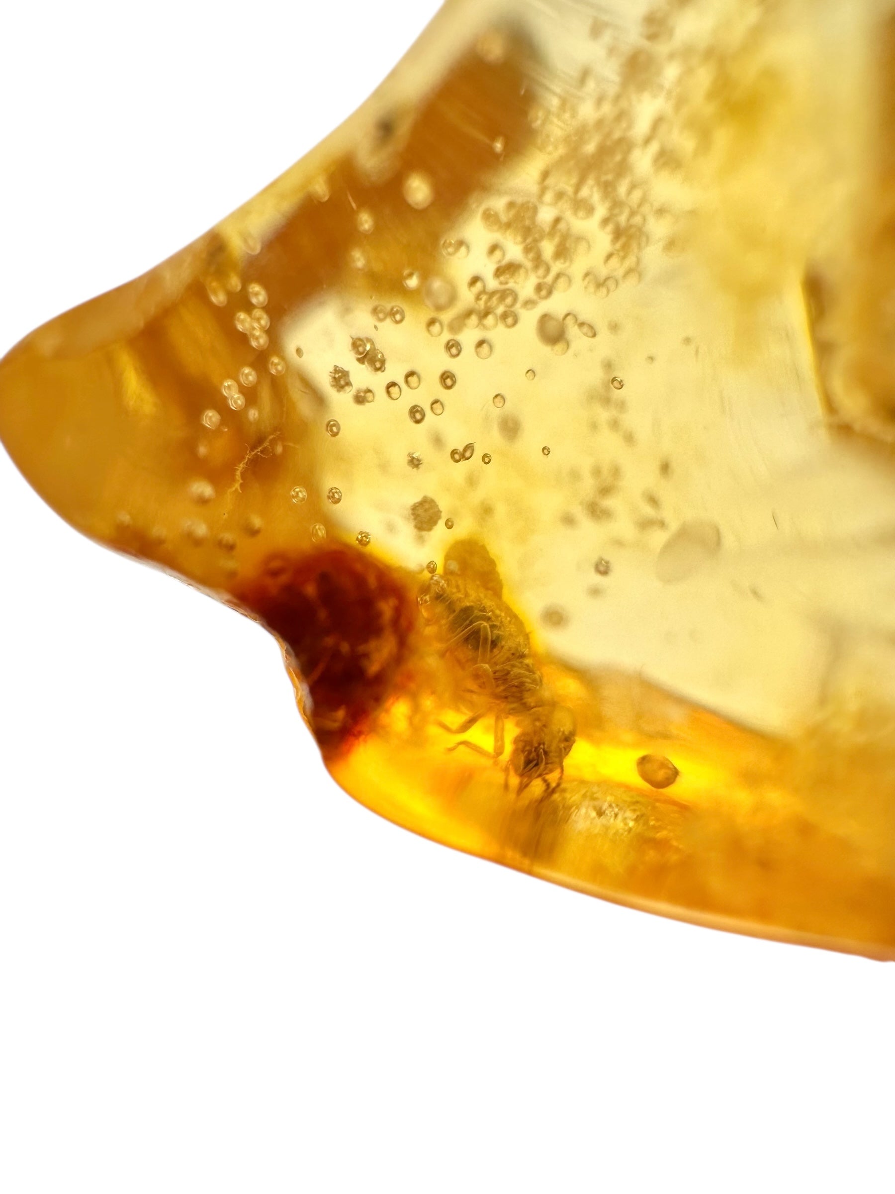 Insects in young amber (copal) 11g – Colombia - IK28