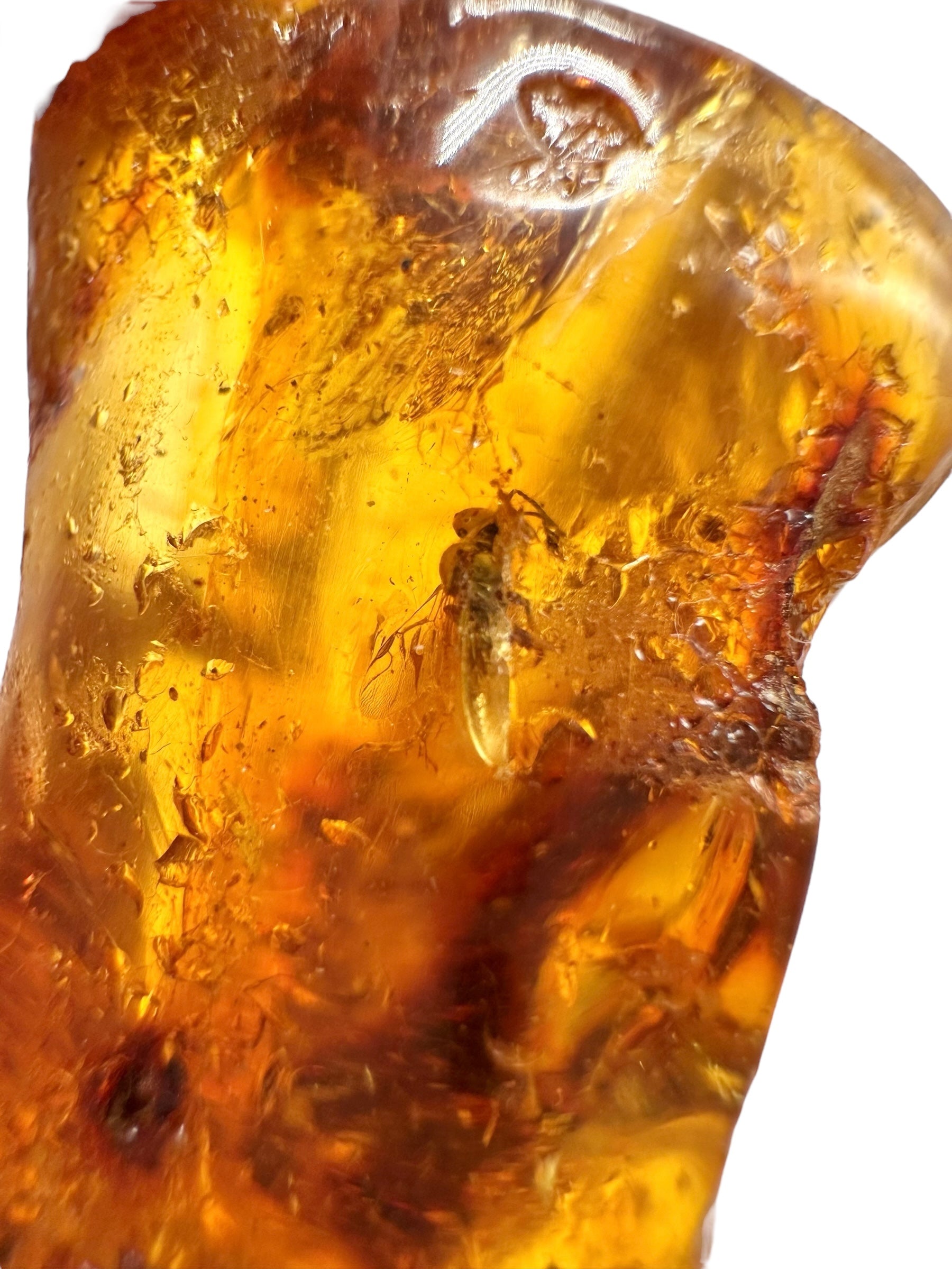 Insects in young amber (copal) 10,7g – Colombia - IK29