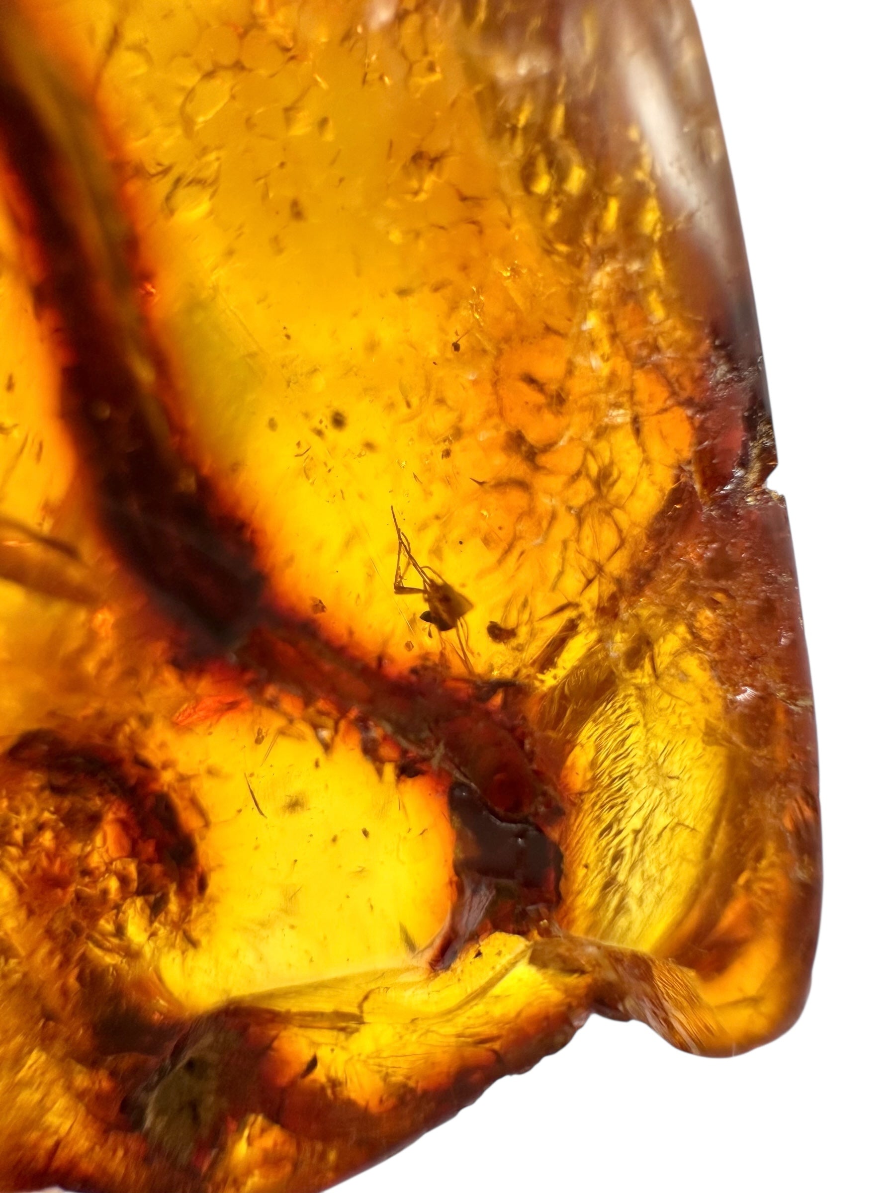 Insects in young amber (copal) 10,7g – Colombia - IK29
