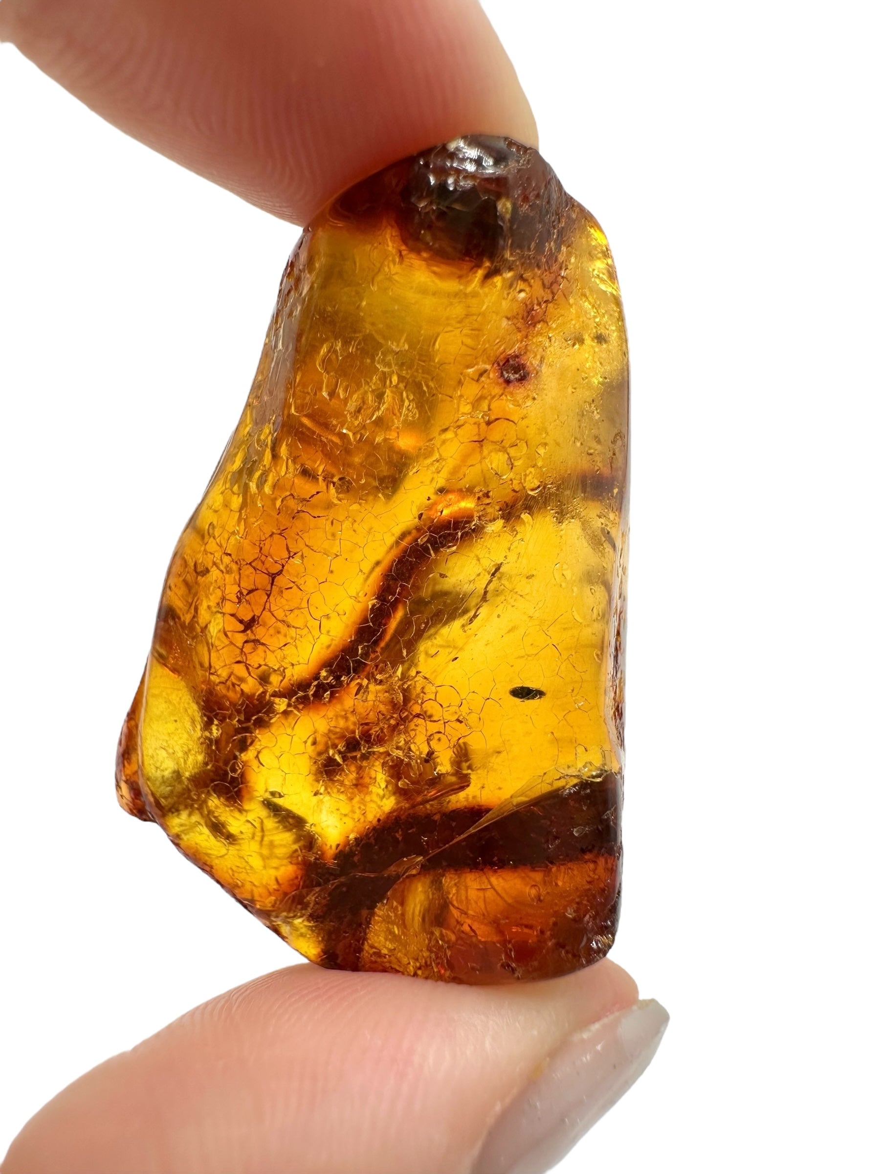 Insects in young amber (copal) 10,7g – Colombia - IK29