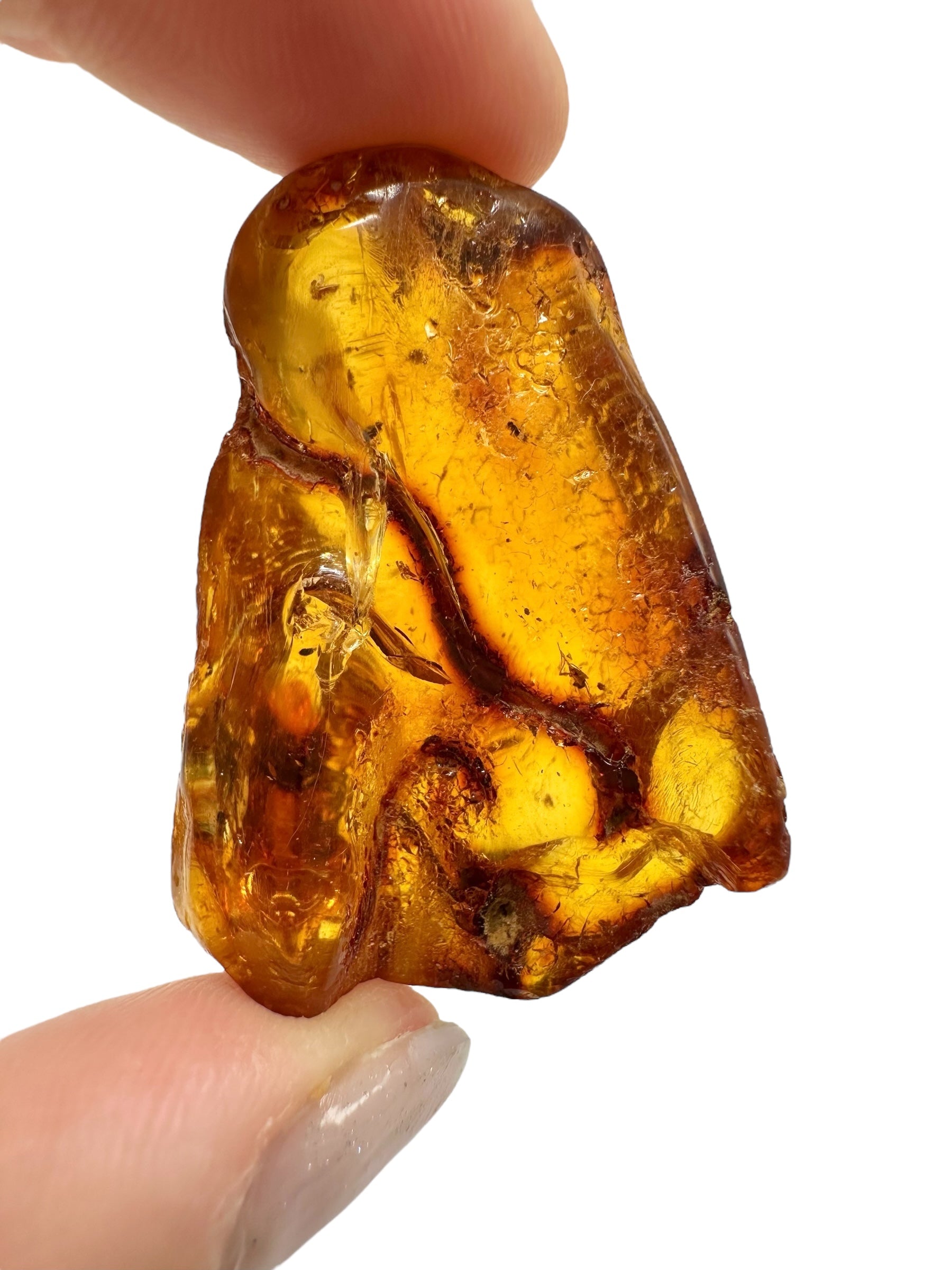 Insects in young amber (copal) 10,7g – Colombia - IK29