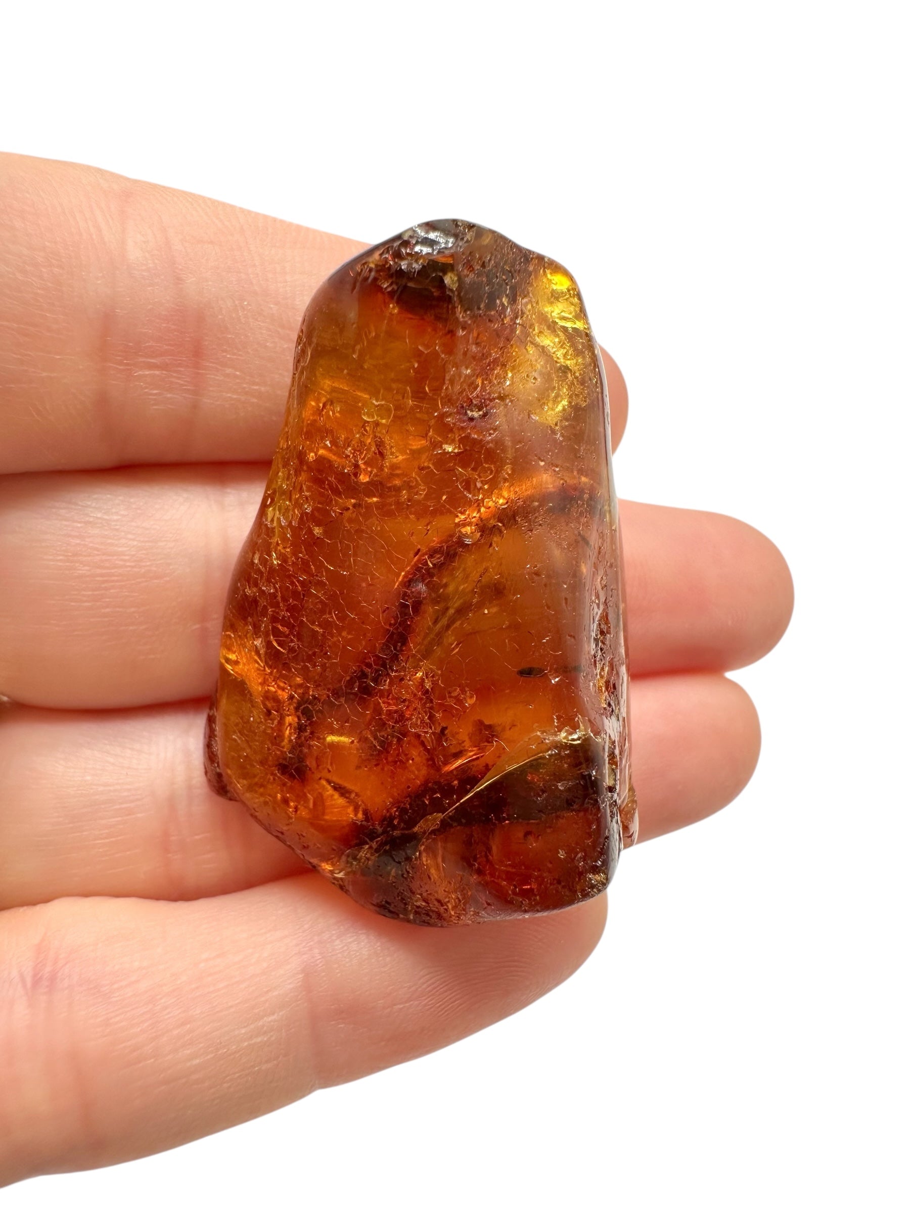 Insects in young amber (copal) 10,7g – Colombia - IK29