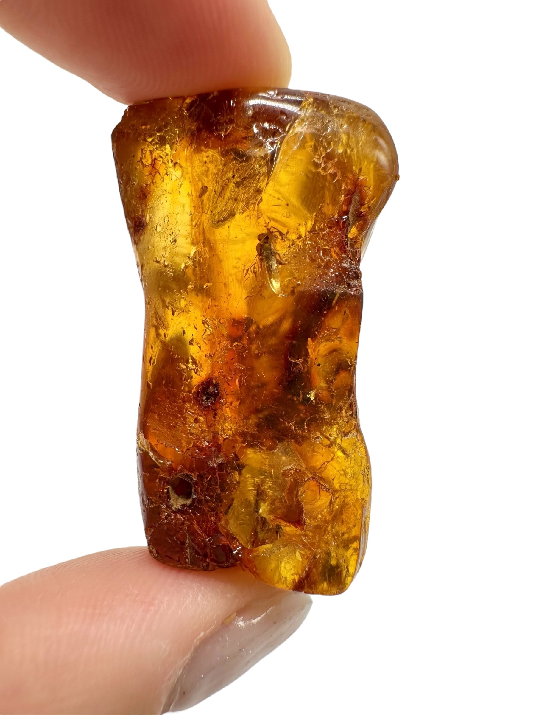 Insects in young amber (copal) 10,7g – Colombia