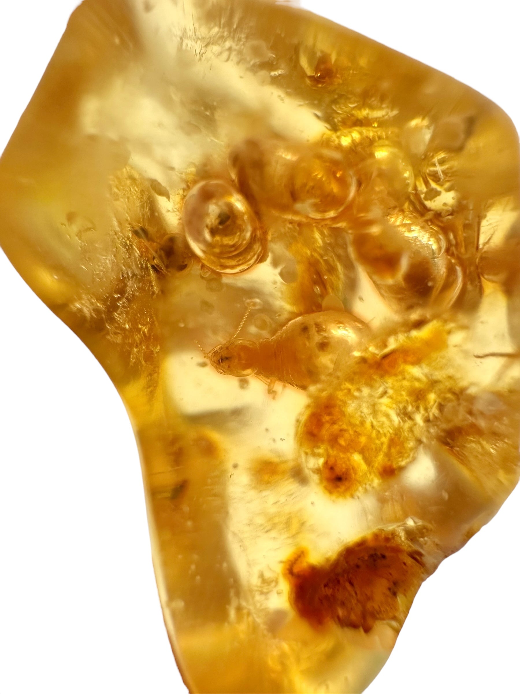 Insects in young amber (copal) 3,3g – Colombia - IK30