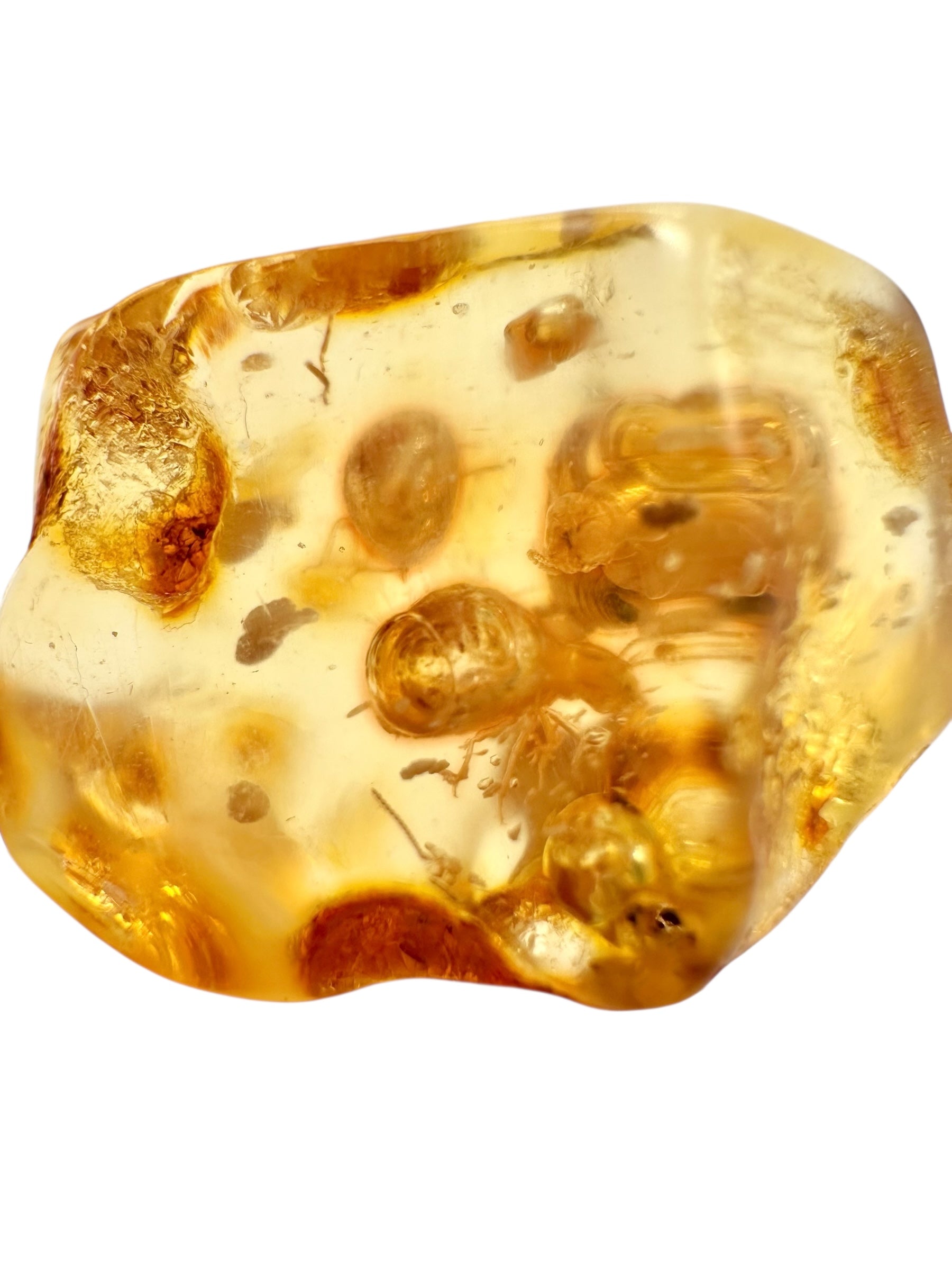 Insects in young amber (copal) 3,3g – Colombia - IK30