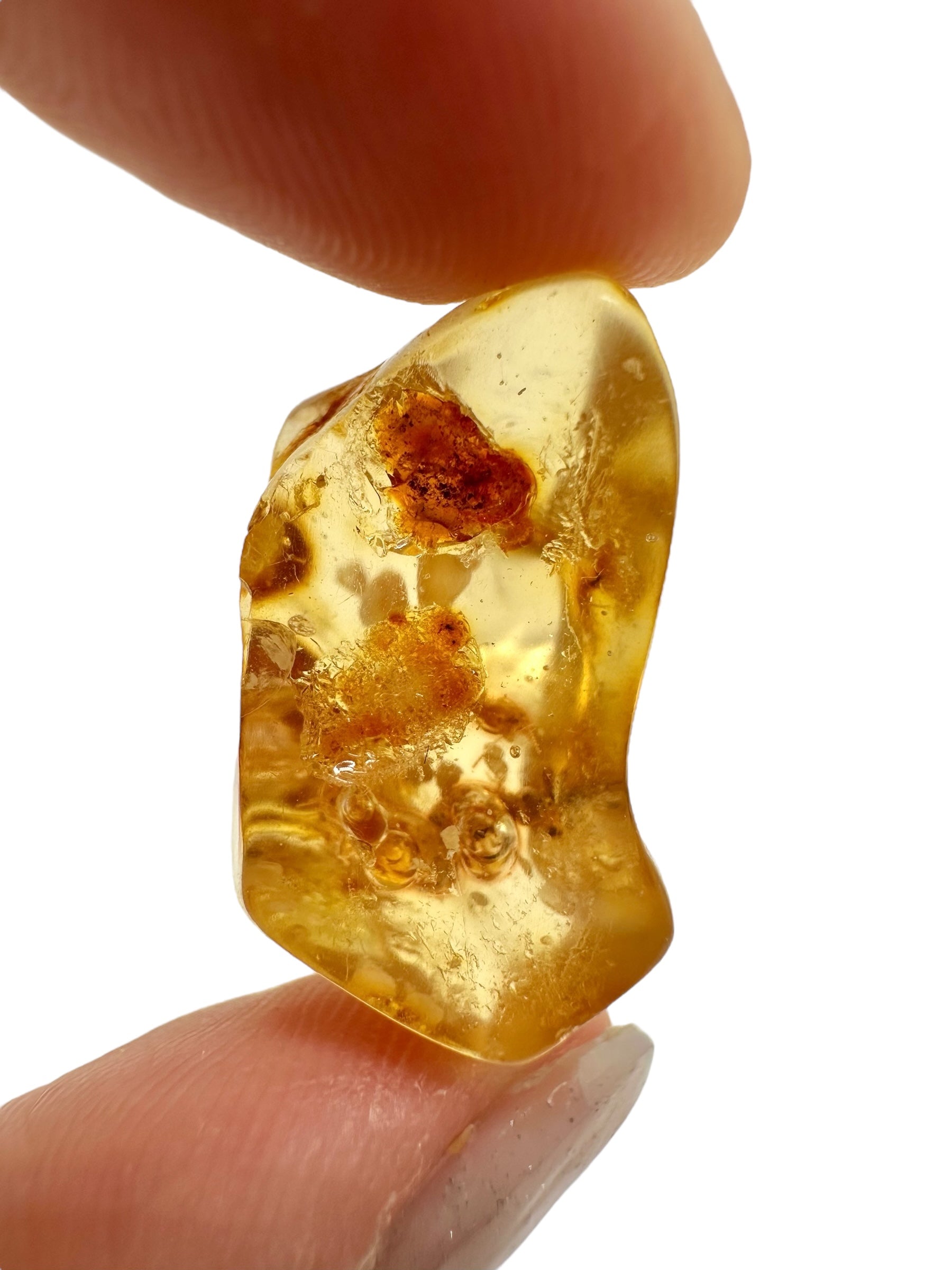 Insects in young amber (copal) 3,3g – Colombia