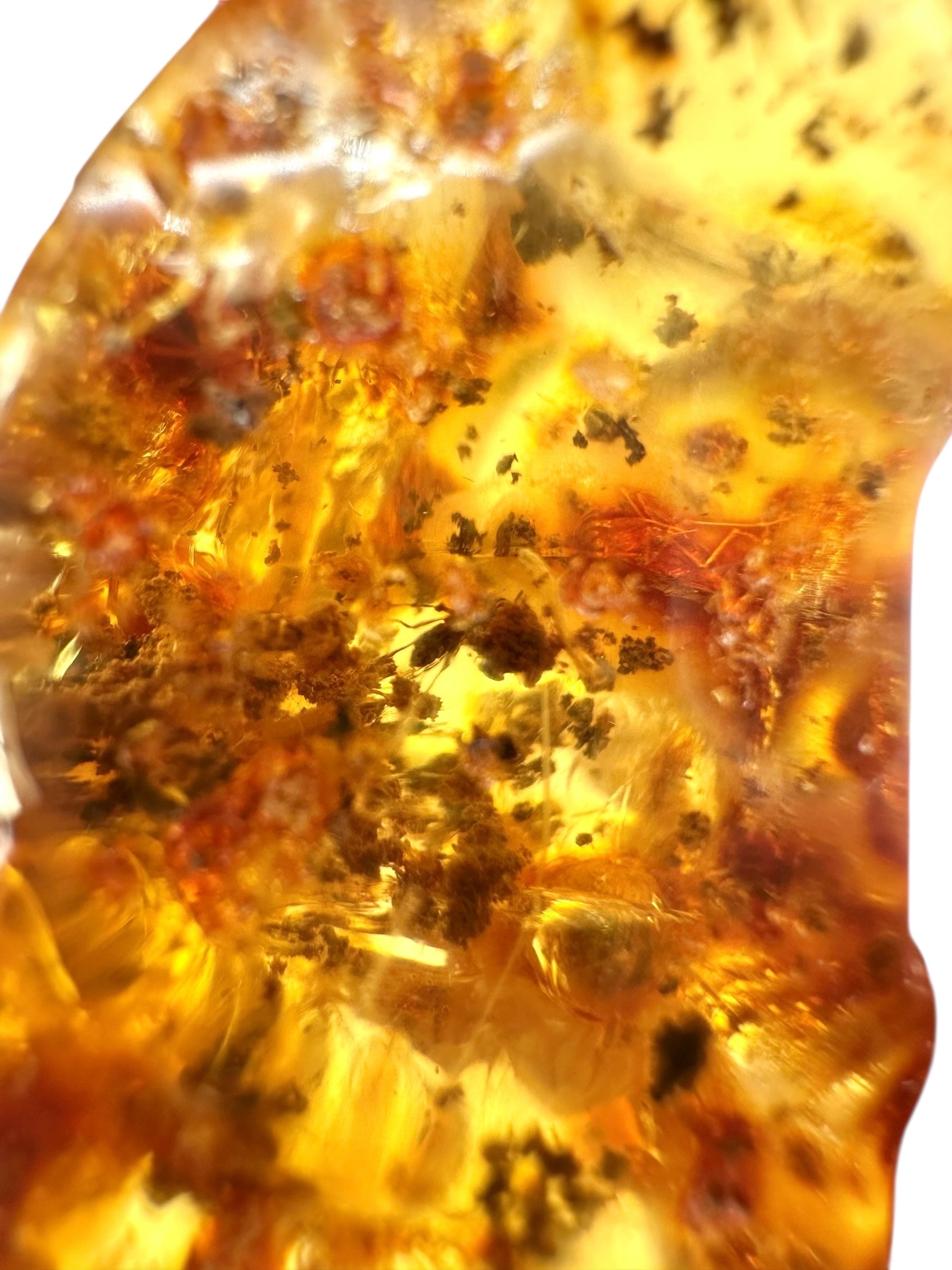 Insects in young amber (copal) 18,7g – Colombia - IK31