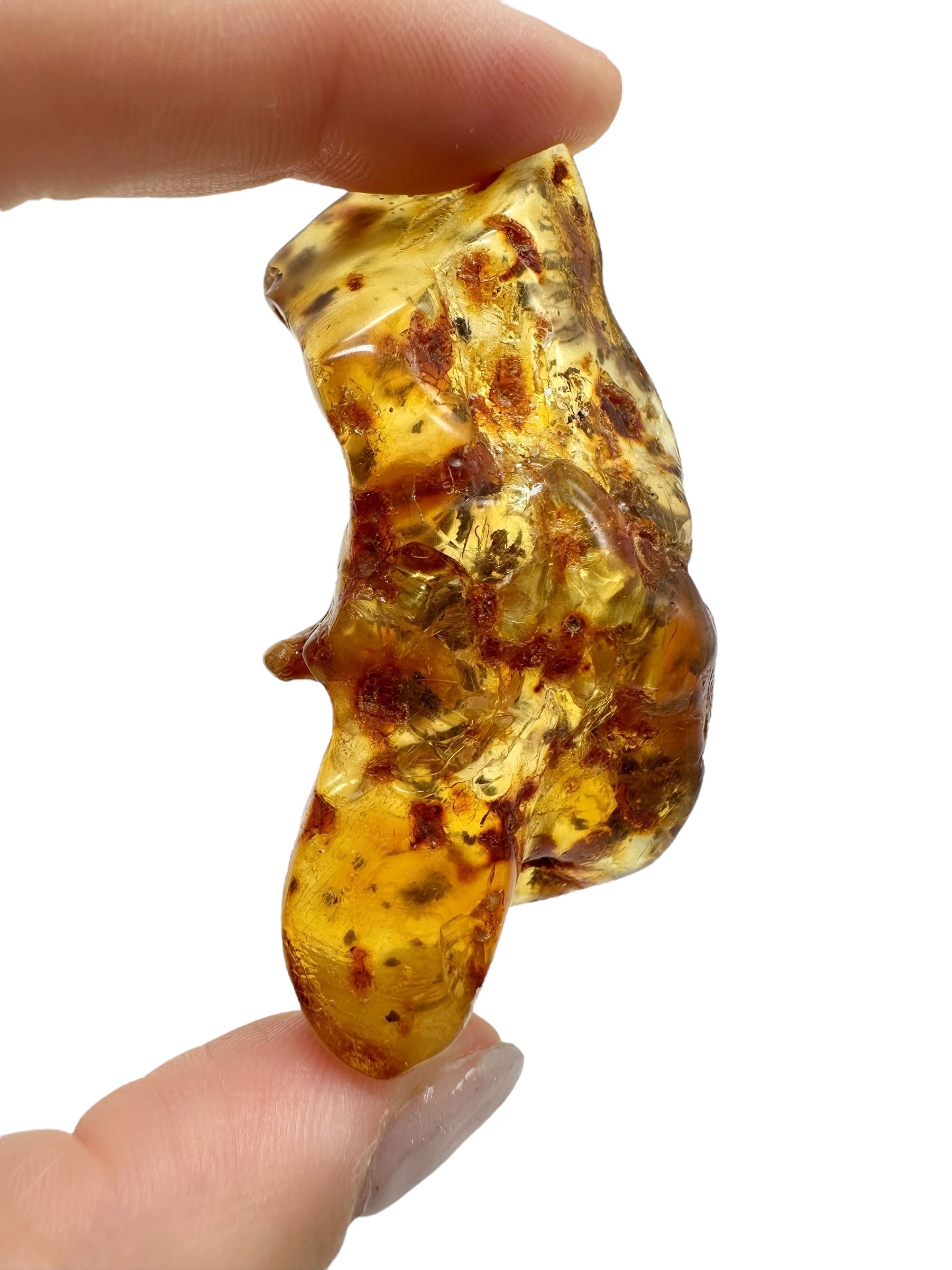 Insects in young amber (copal) 18,7g – Colombia - IK31