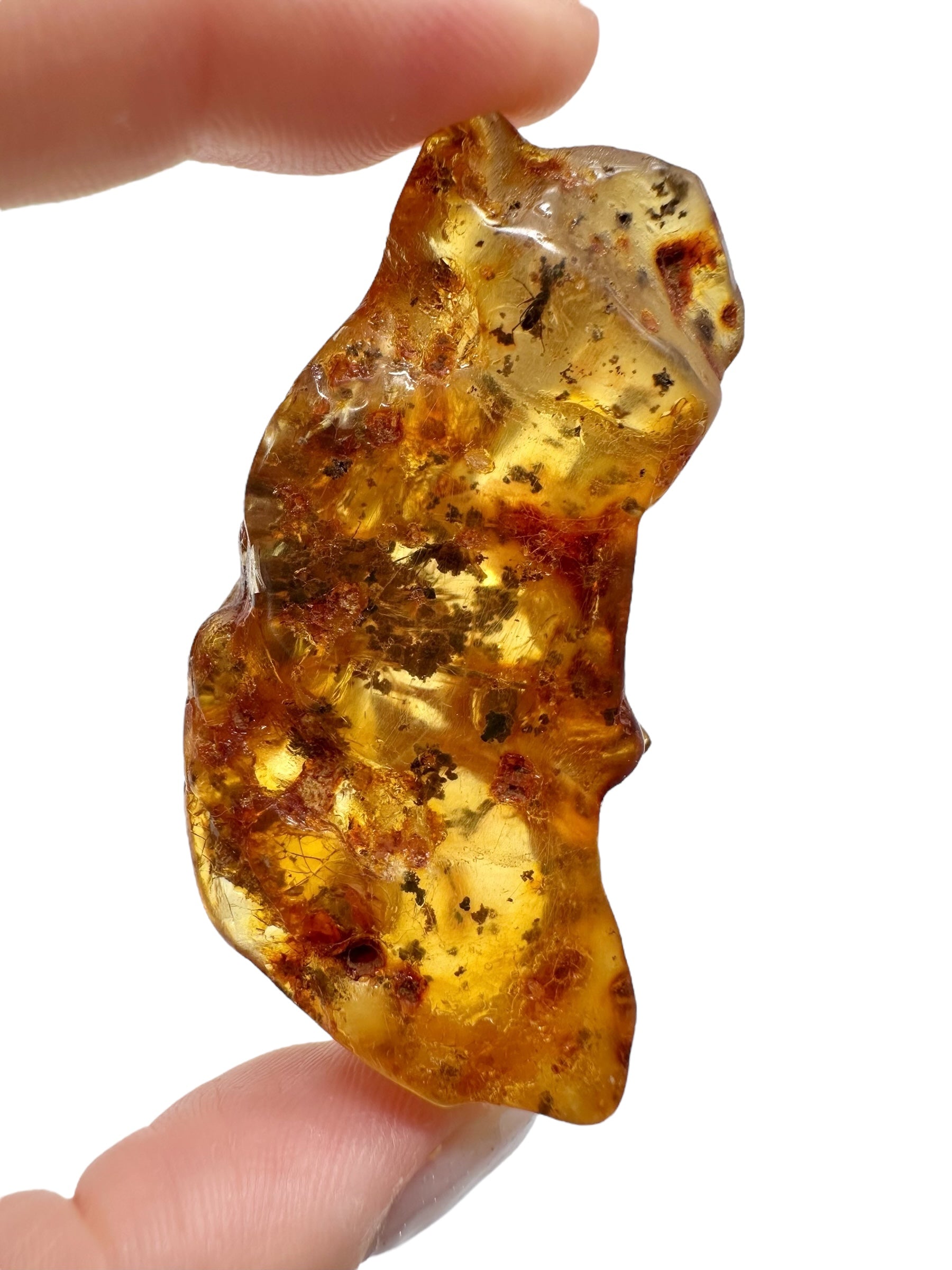 Insects in young amber (copal) 18,7g – Colombia