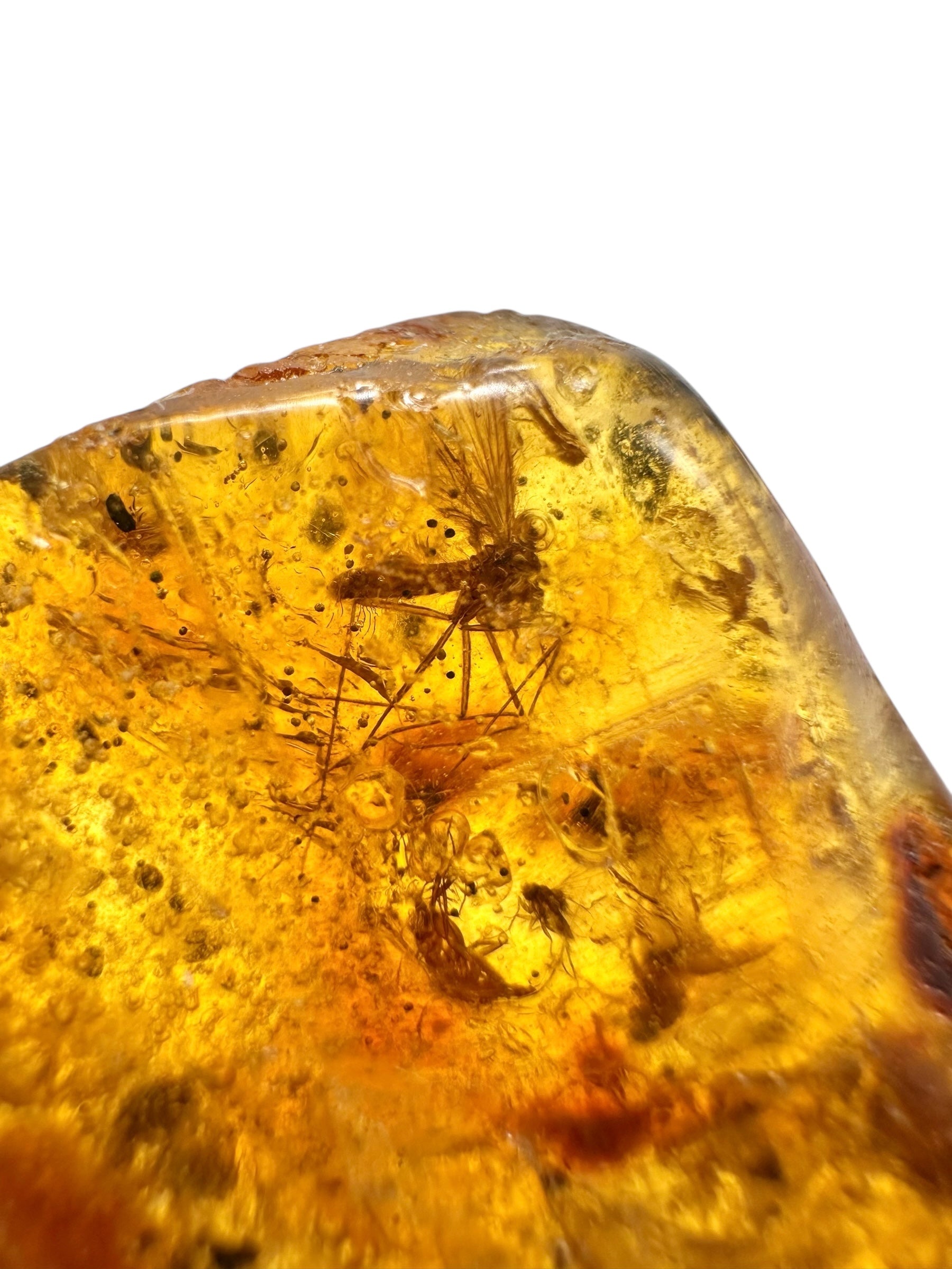 Insects in young amber (copal) 14,7g – Colombia - IK32
