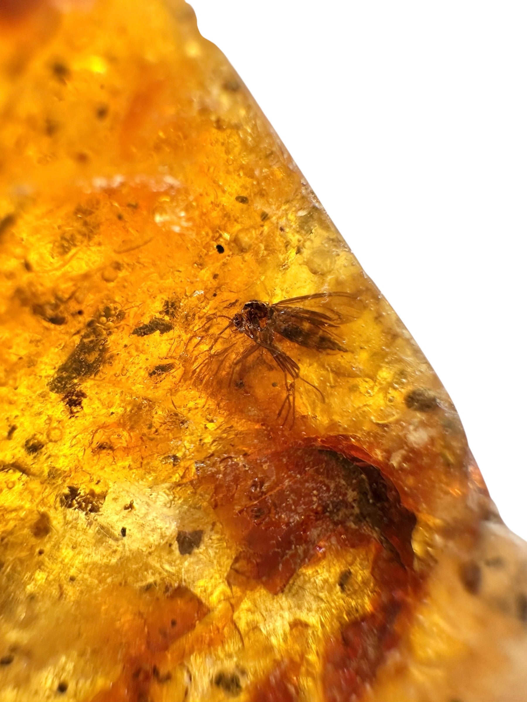 Insects in young amber (copal) 14,7g – Colombia - IK32