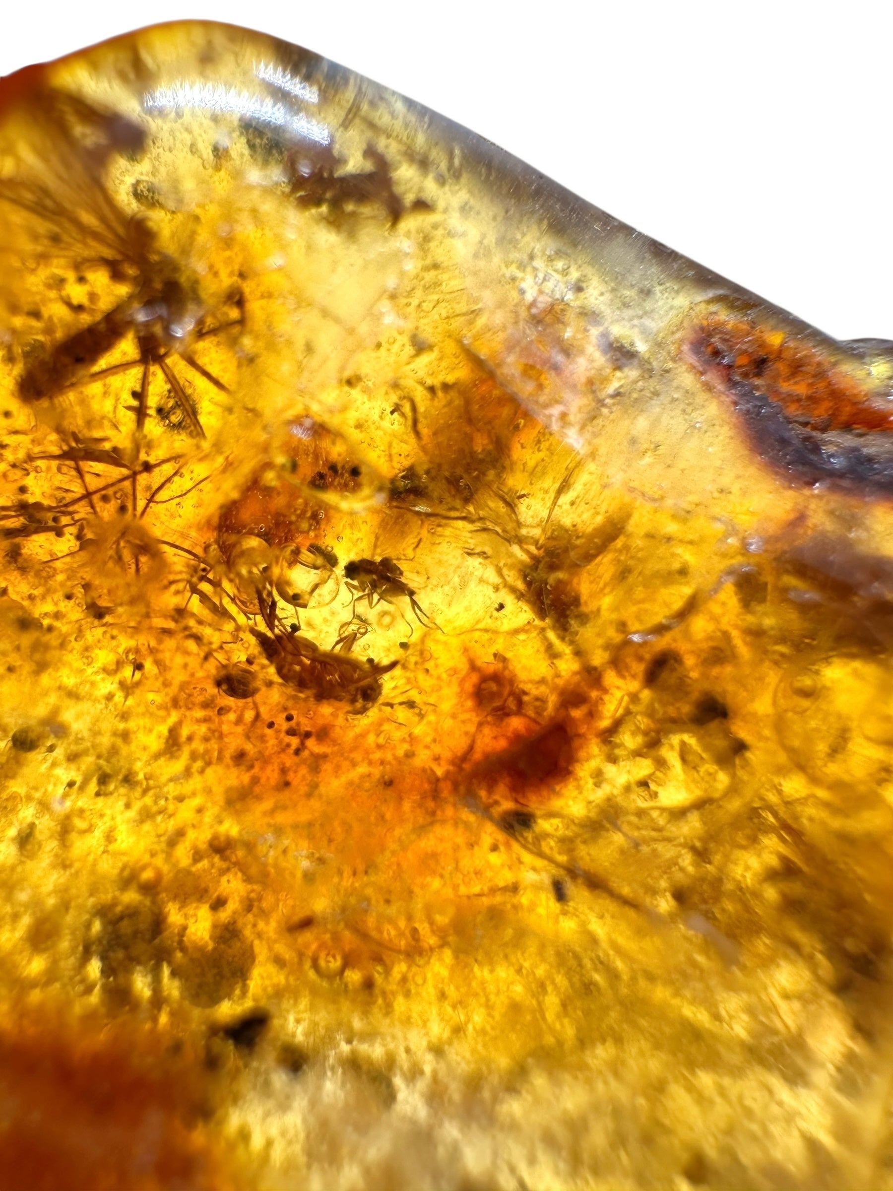 Insects in young amber (copal) 14,7g – Colombia - IK32
