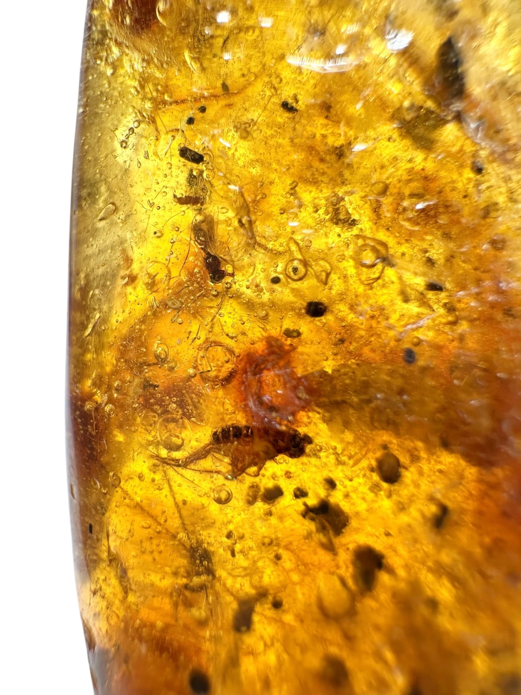 Insects in young amber (copal) 14,7g – Colombia - IK32