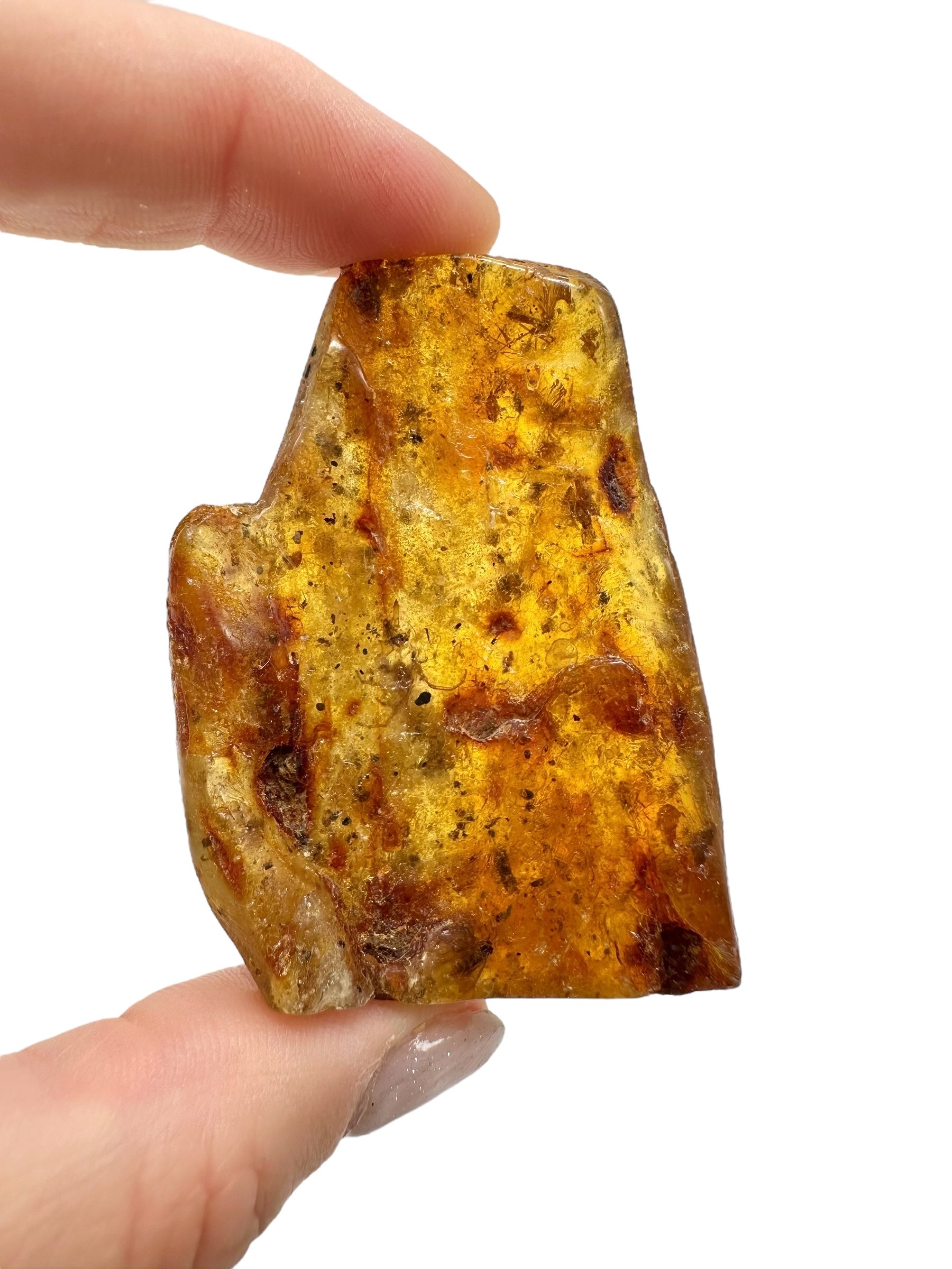 Insects in young amber (copal) 14,7g – Colombia - IK32