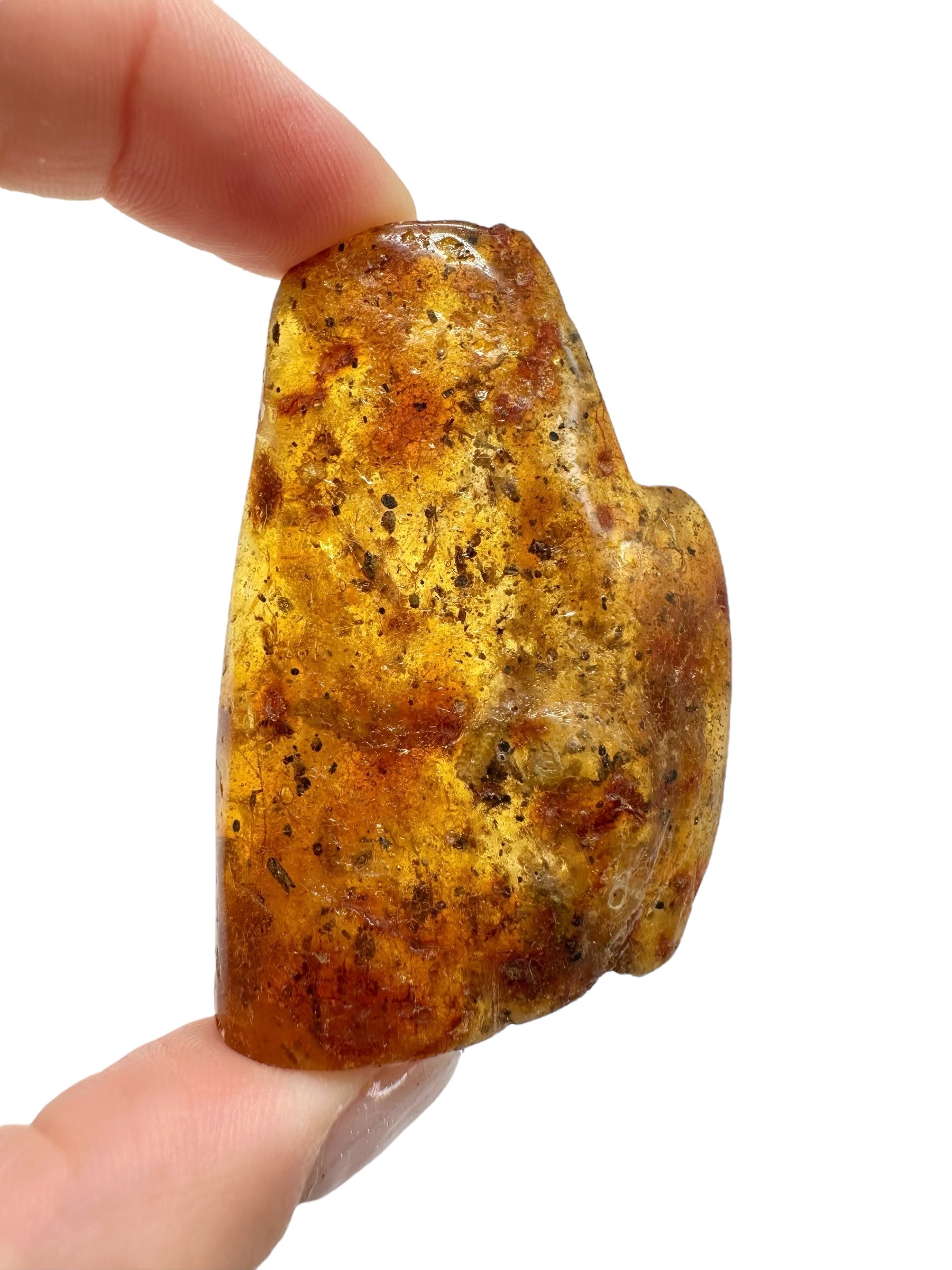 Insects in young amber (copal) 14,7g – Colombia