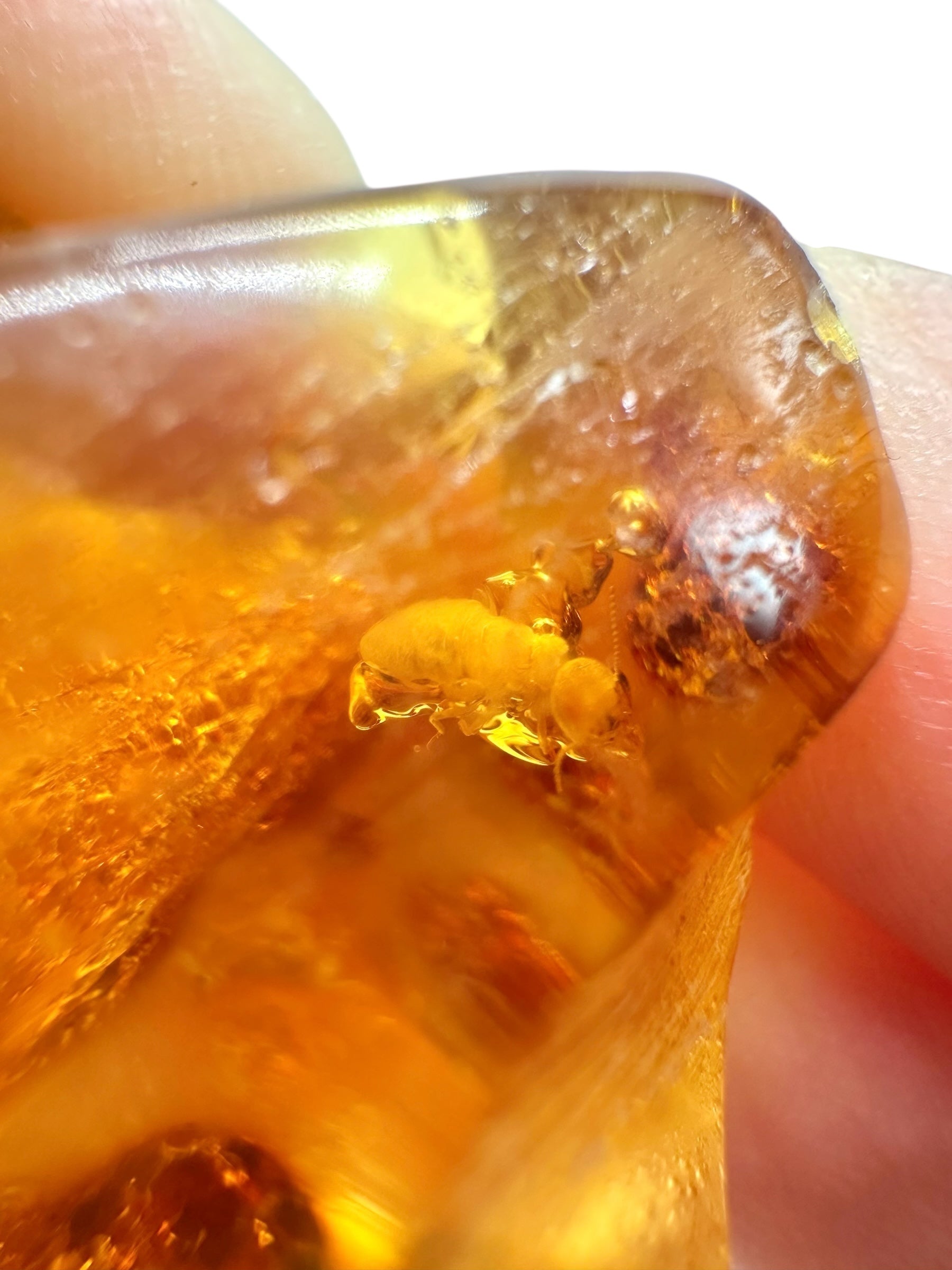 Insects in young amber (copal) 8,3g – Colombia - IK33