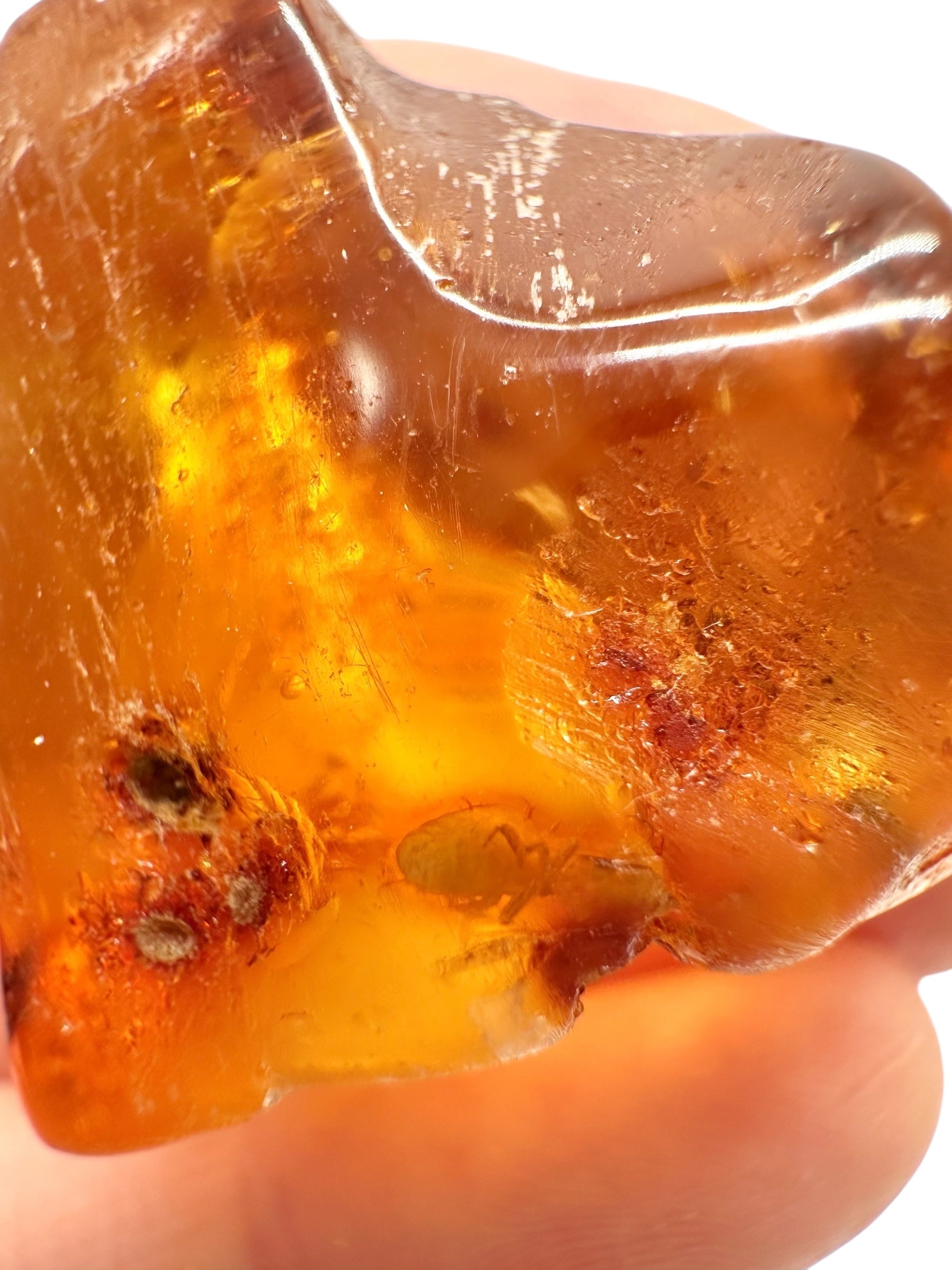 Insects in young amber (copal) 8,3g – Colombia - IK33