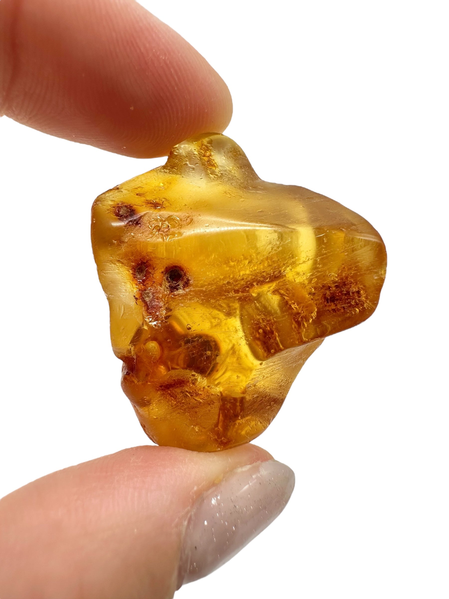 Insects in young amber (copal) 8,3g – Colombia