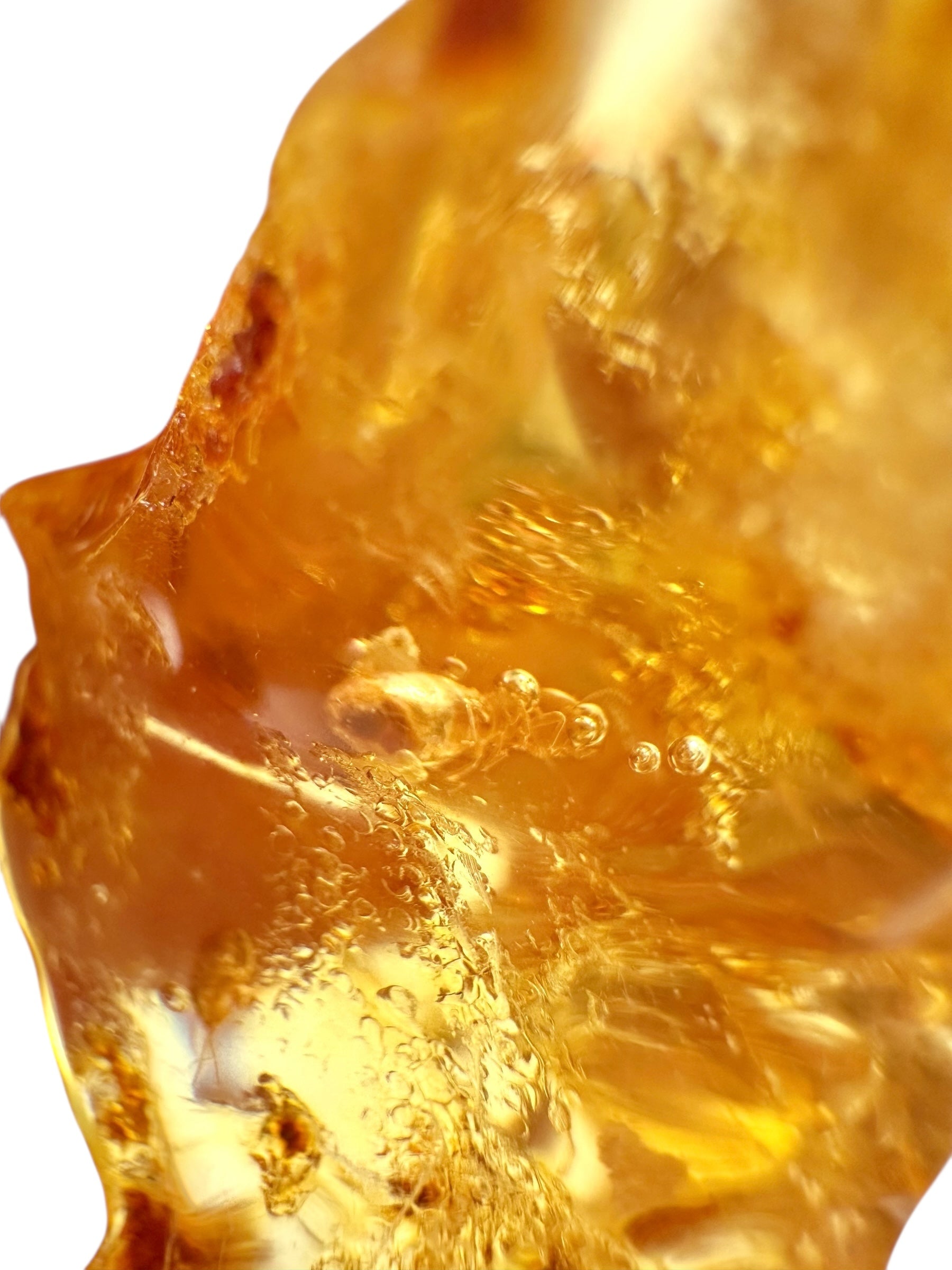 Insects in young amber (copal) 9,5g – Colombia - IK34
