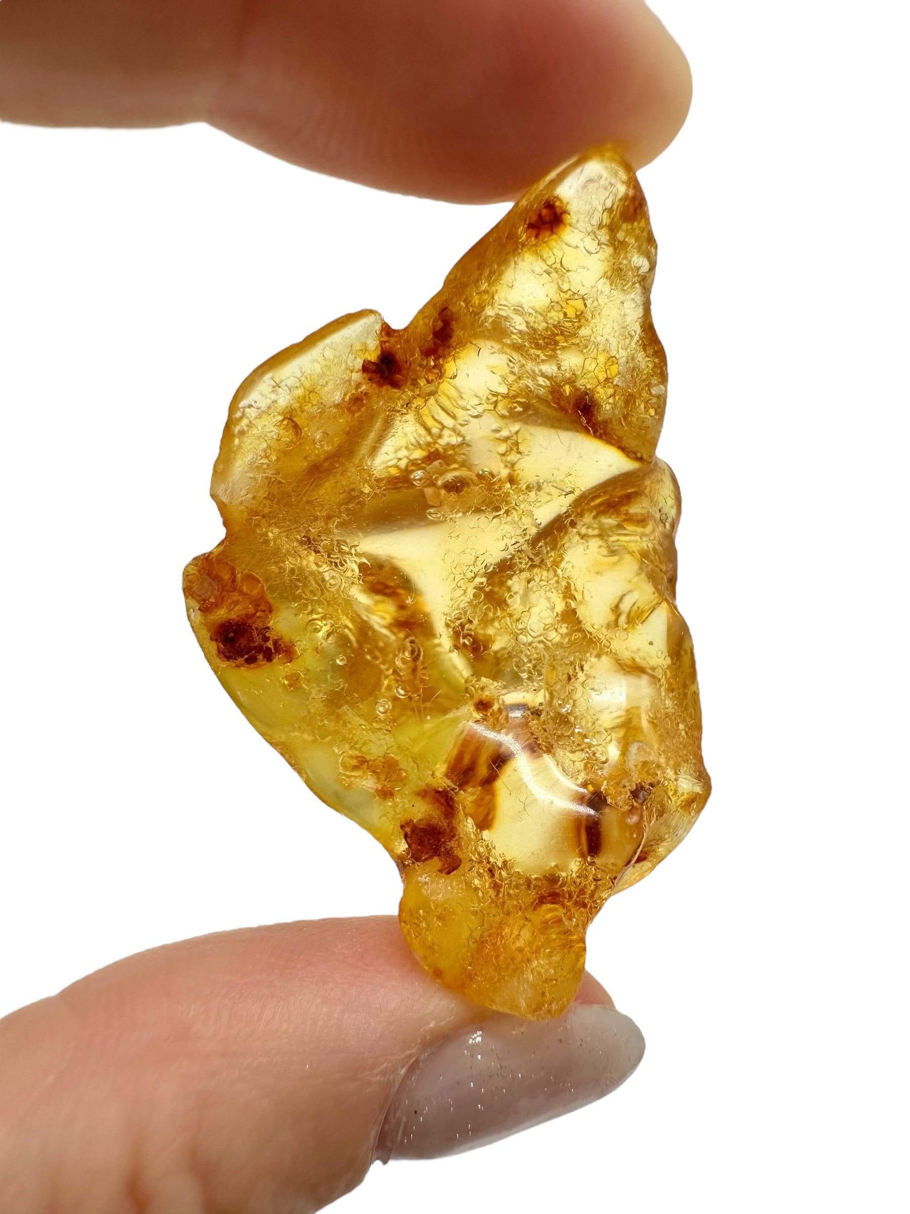Insects in young amber (copal) 9,5g – Colombia