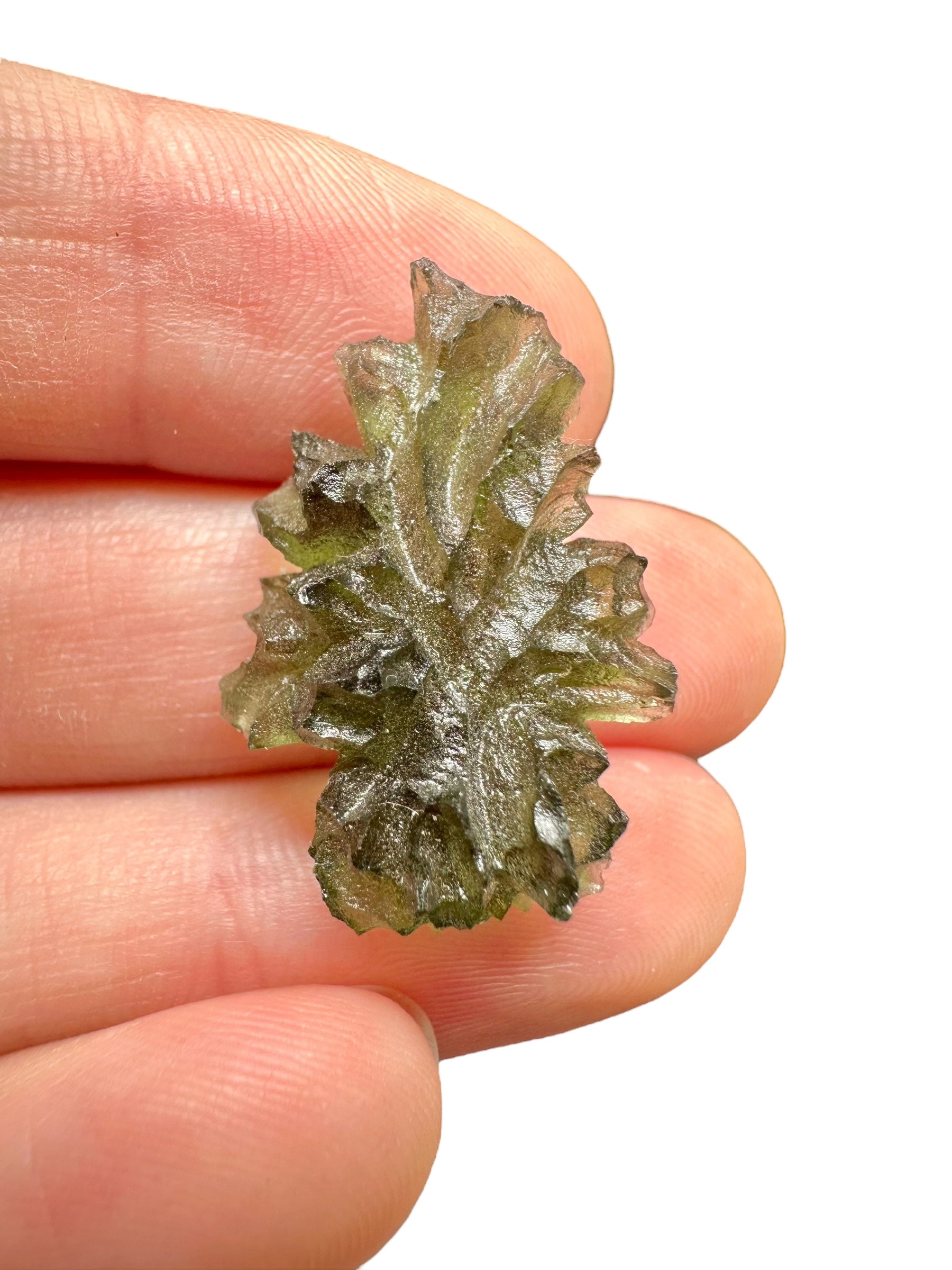 Moldavite – Besednice Jezkovna – 3g - V2301