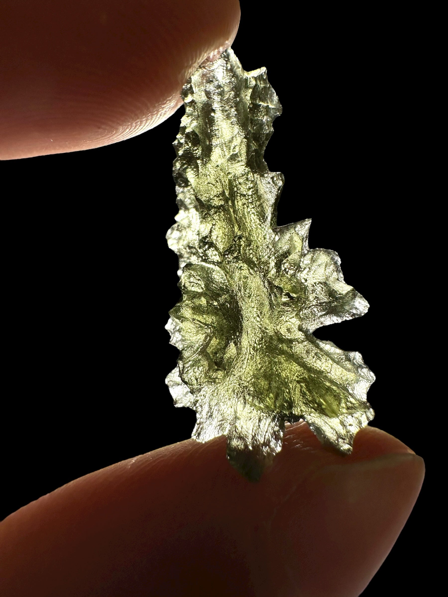 Moldavite – Besednice Jezkovna – 1,9g - BJ227