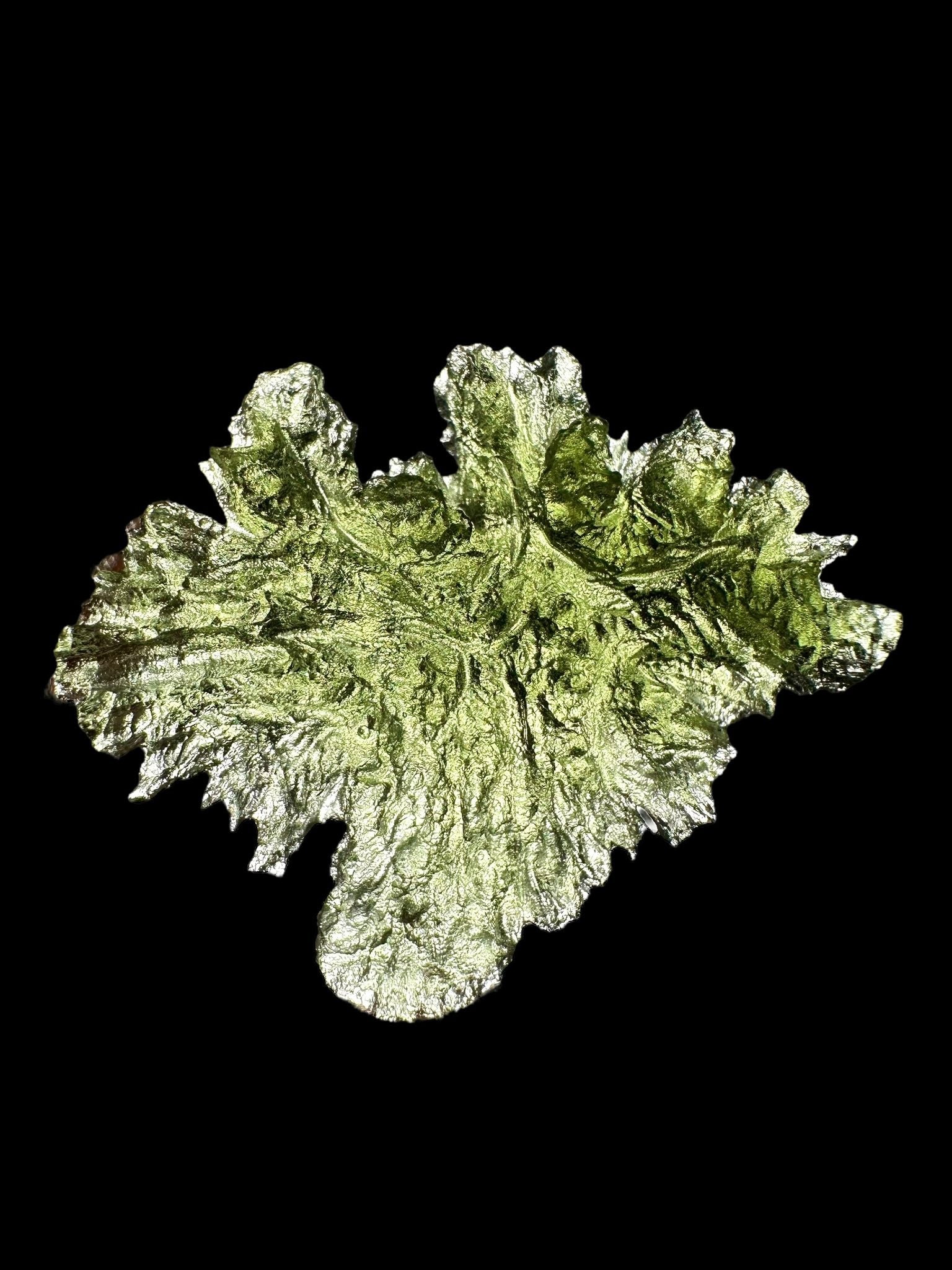 Moldavite – Besednice Jezkovna – 6,5g - V1839