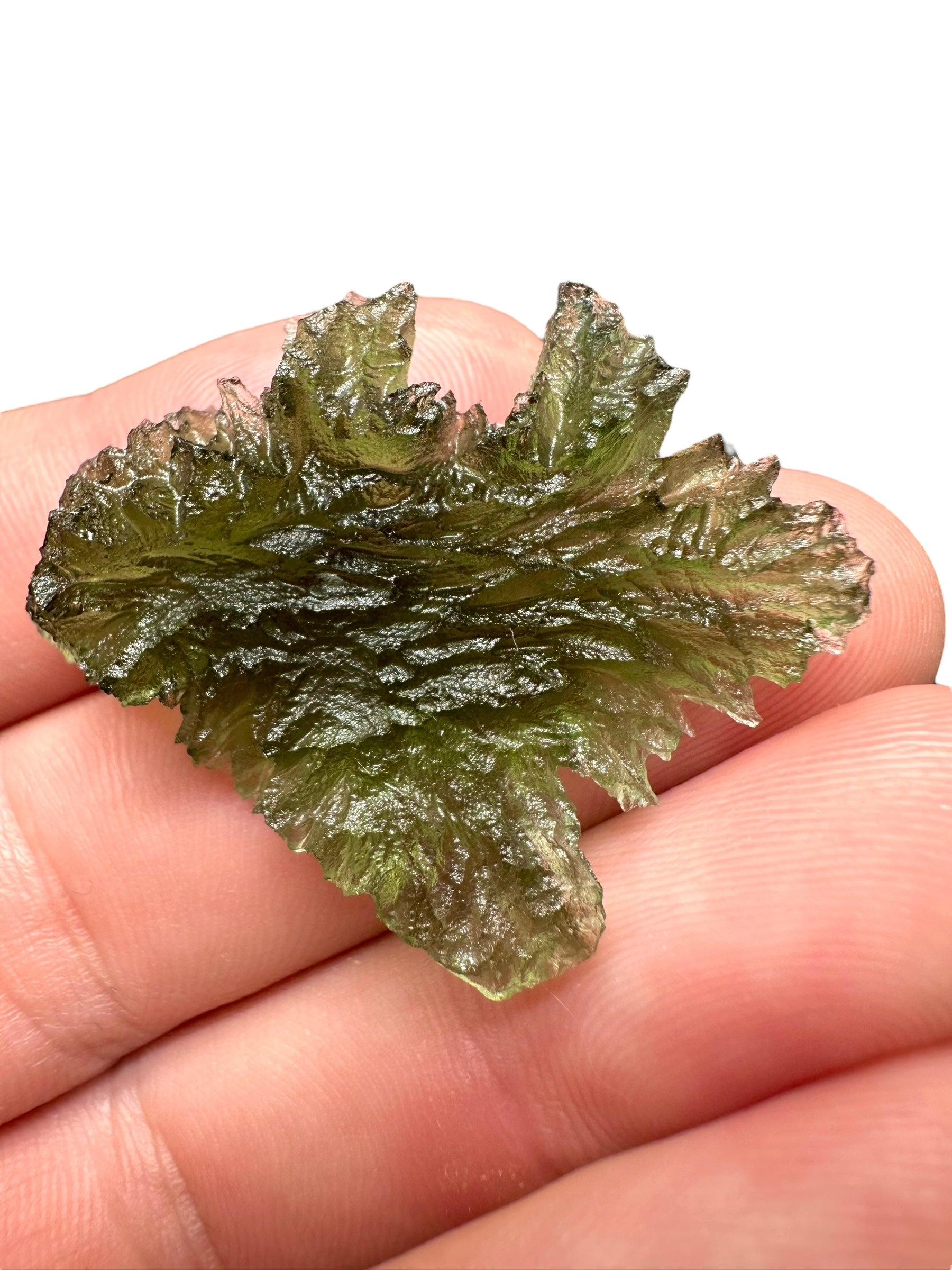 Moldavite – Besednice Jezkovna – 6,5g - V1839