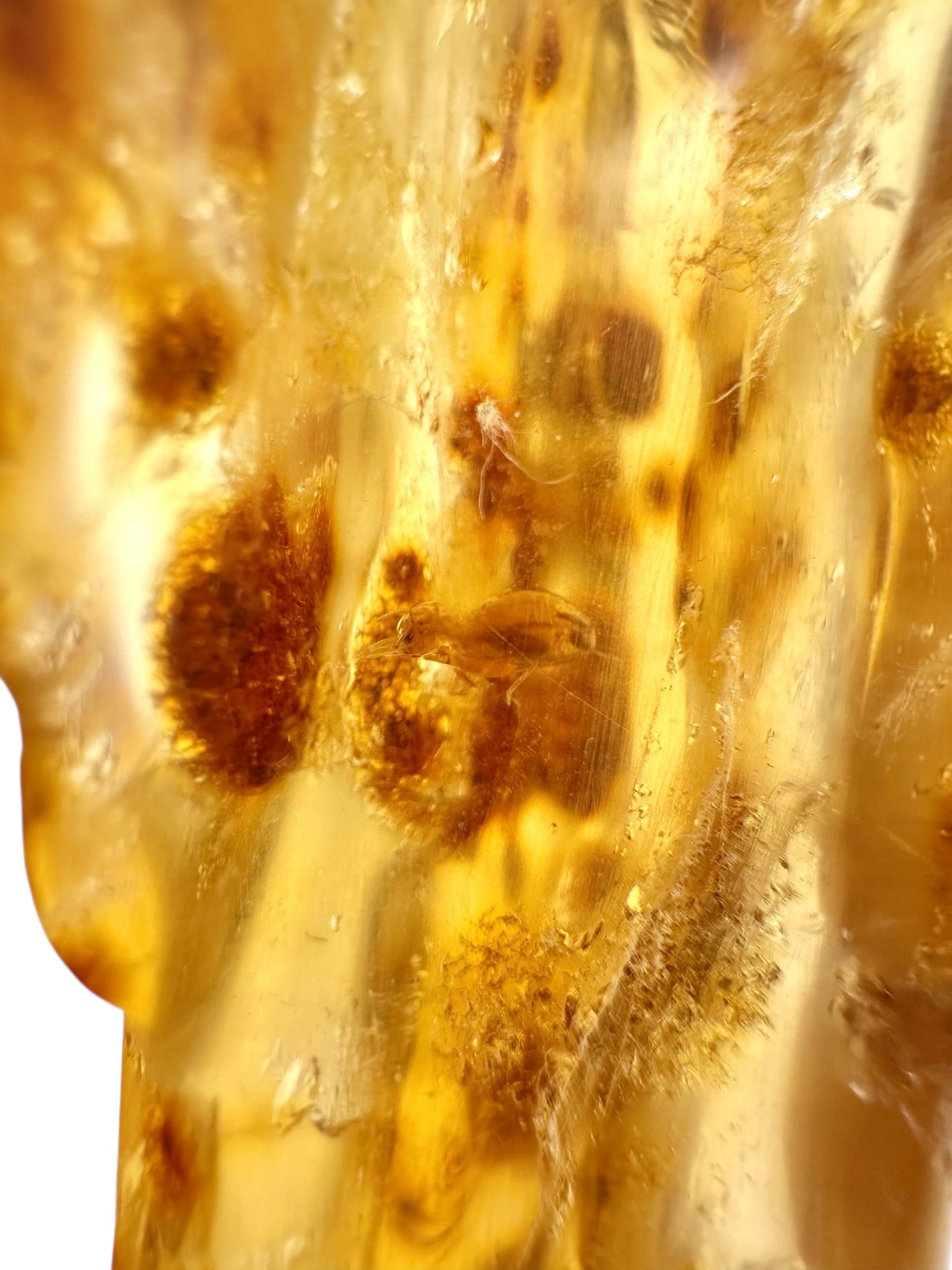 Insects in young amber (copal) 27,5g – Colombia - IK35